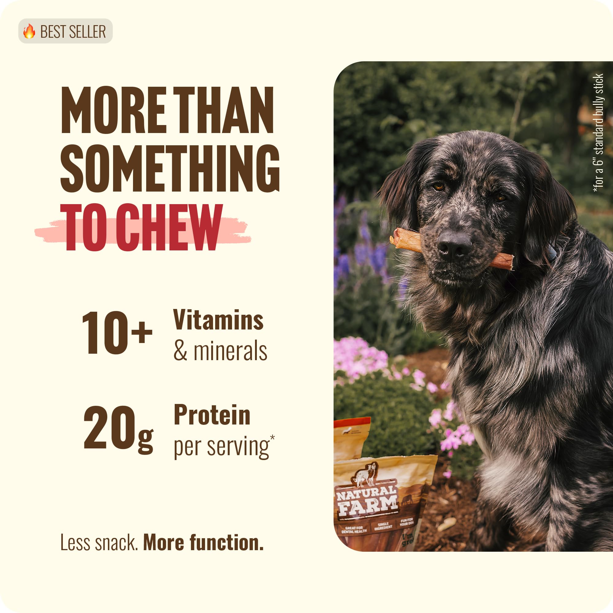 Natural Farm masticables dentales para perro uso diario