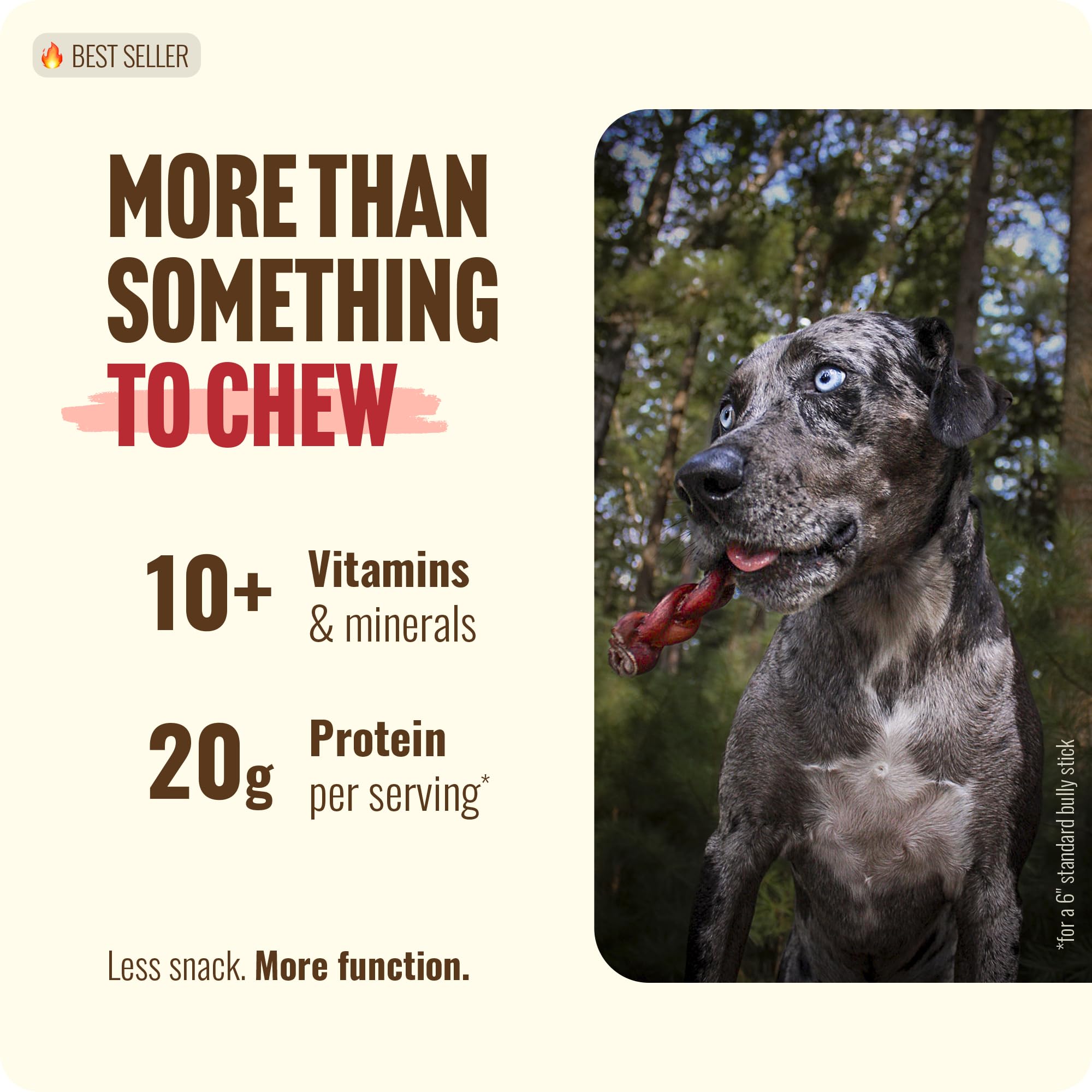 Natural Farm pack de 10 palitos masticables para perros