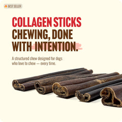 Natural Farm palitos de colágeno sabor maní, perro masticando con gusto