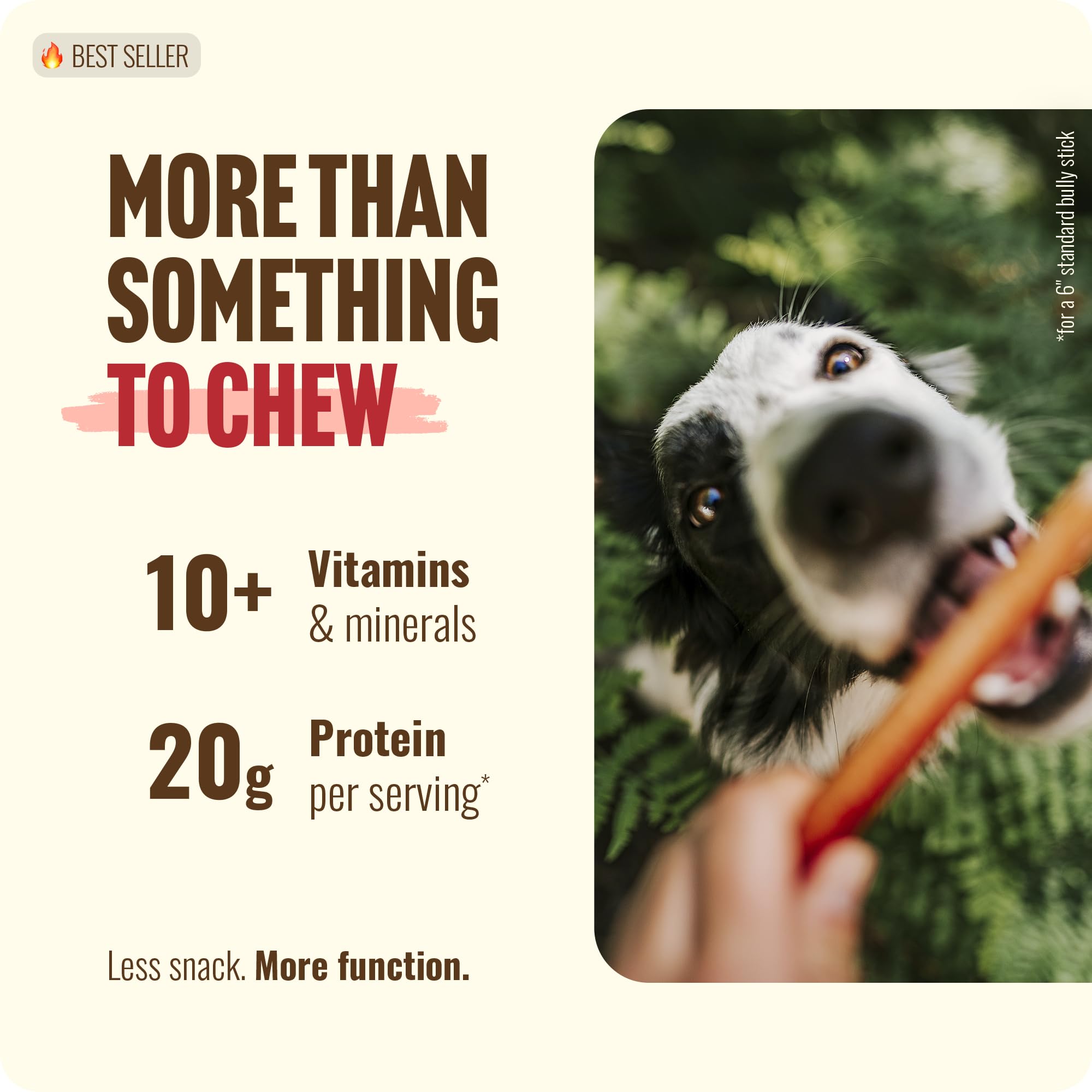 Natural Farm Paquete de 25 Bully Sticks para perros grandes