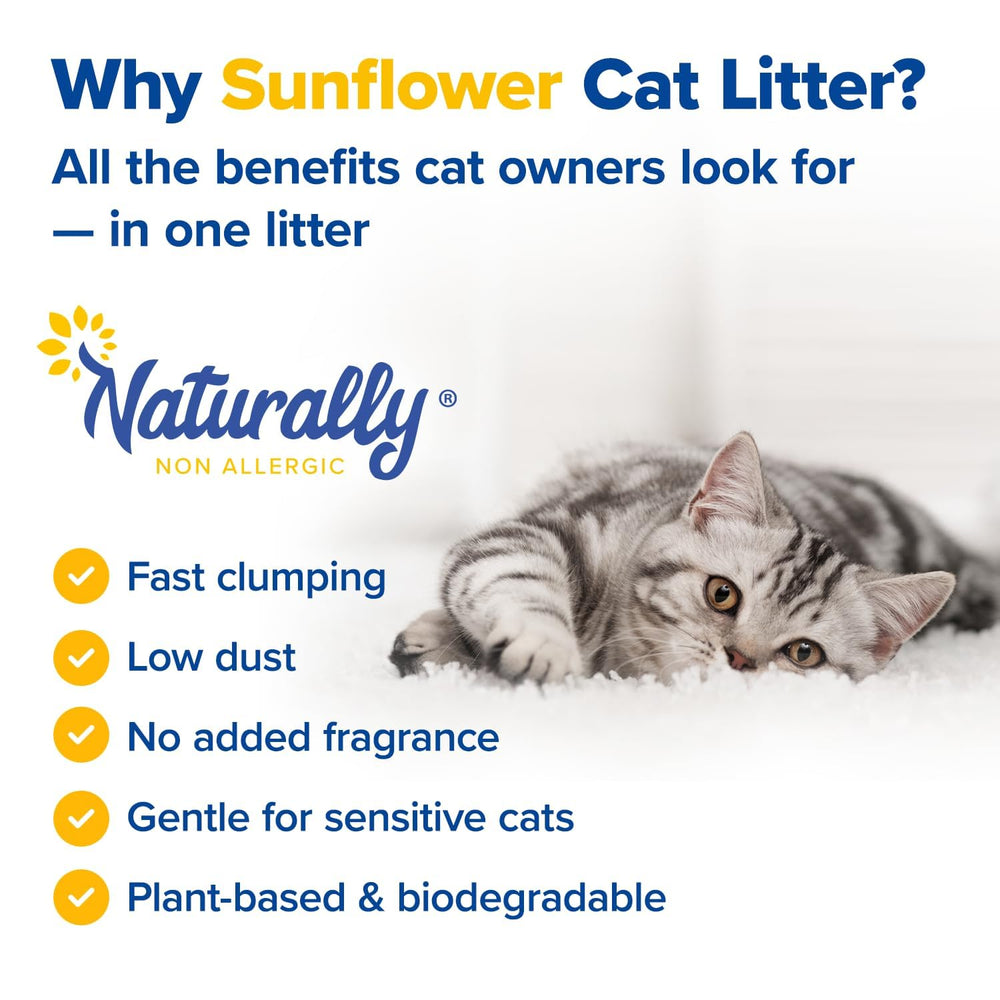 Naturally Non Allergic: pellets de girasol en primer plano, opción ecológica.