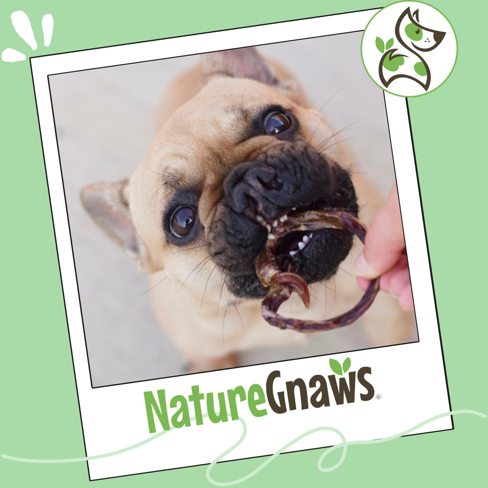 Nature Gnaws alternativa sin cuero crudo frente a huesos comerciales.
