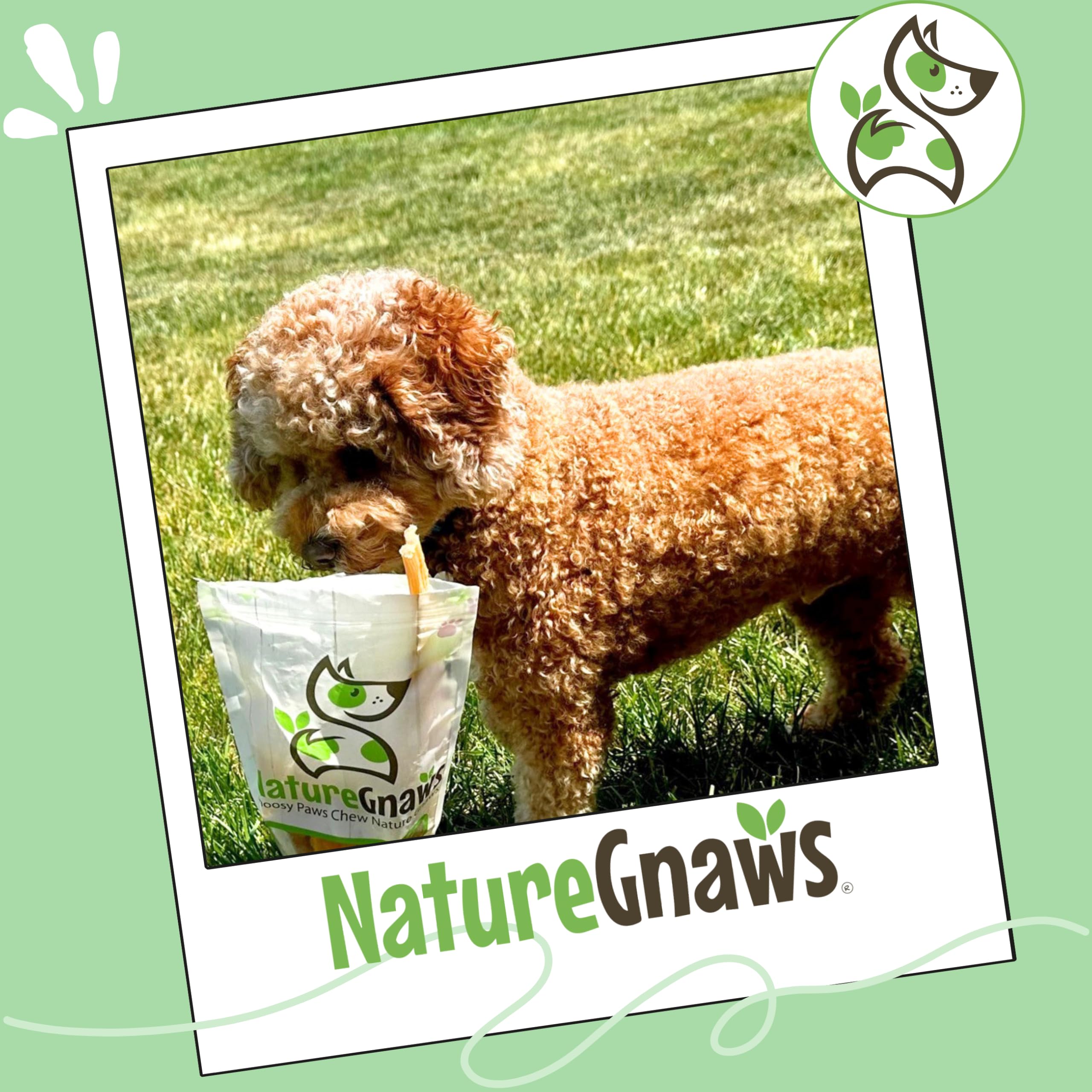 Nature Gnaws aroma natural de carne, sabor que motiva a masticar