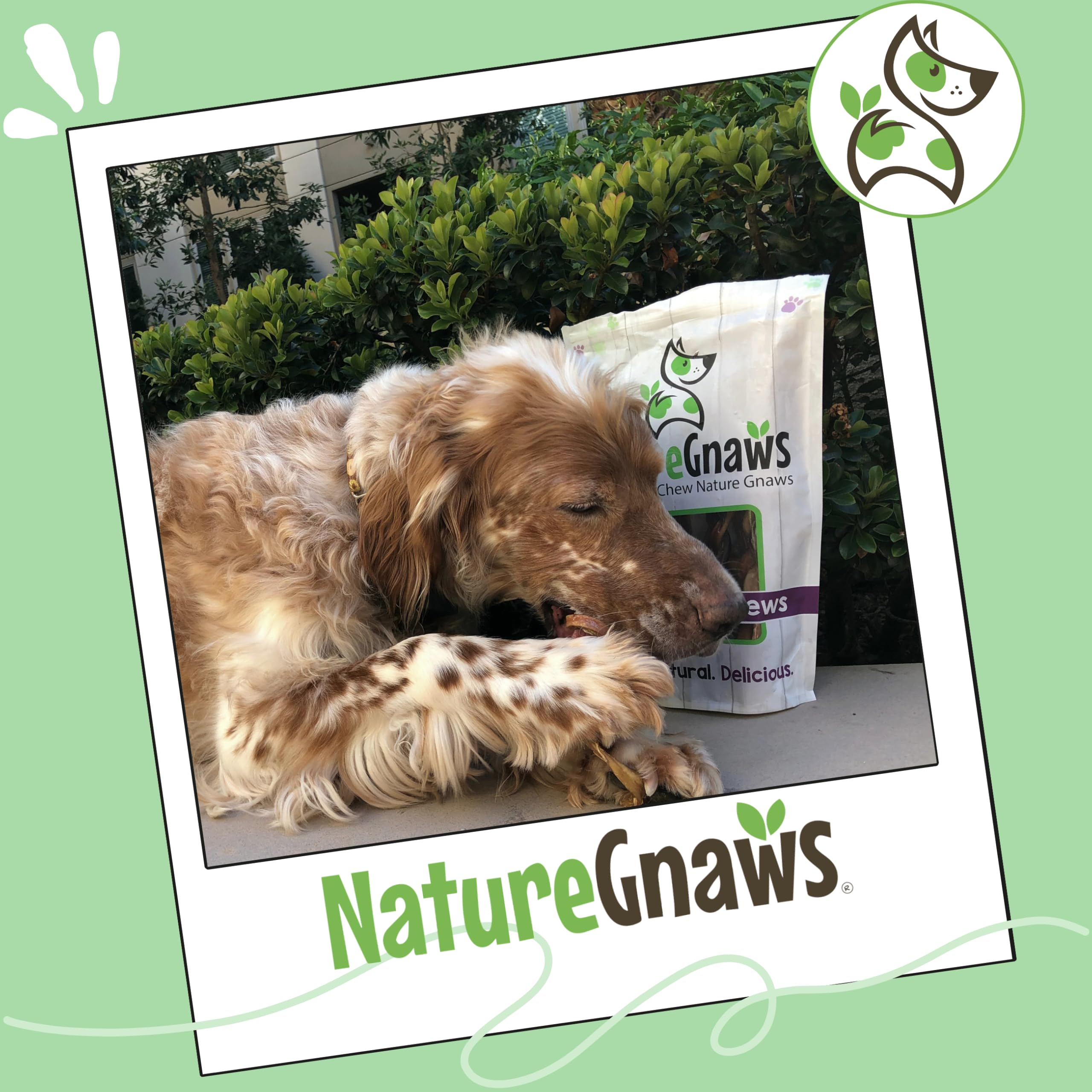 Nature Gnaws aroma natural: masticación agradable que entretiene.
