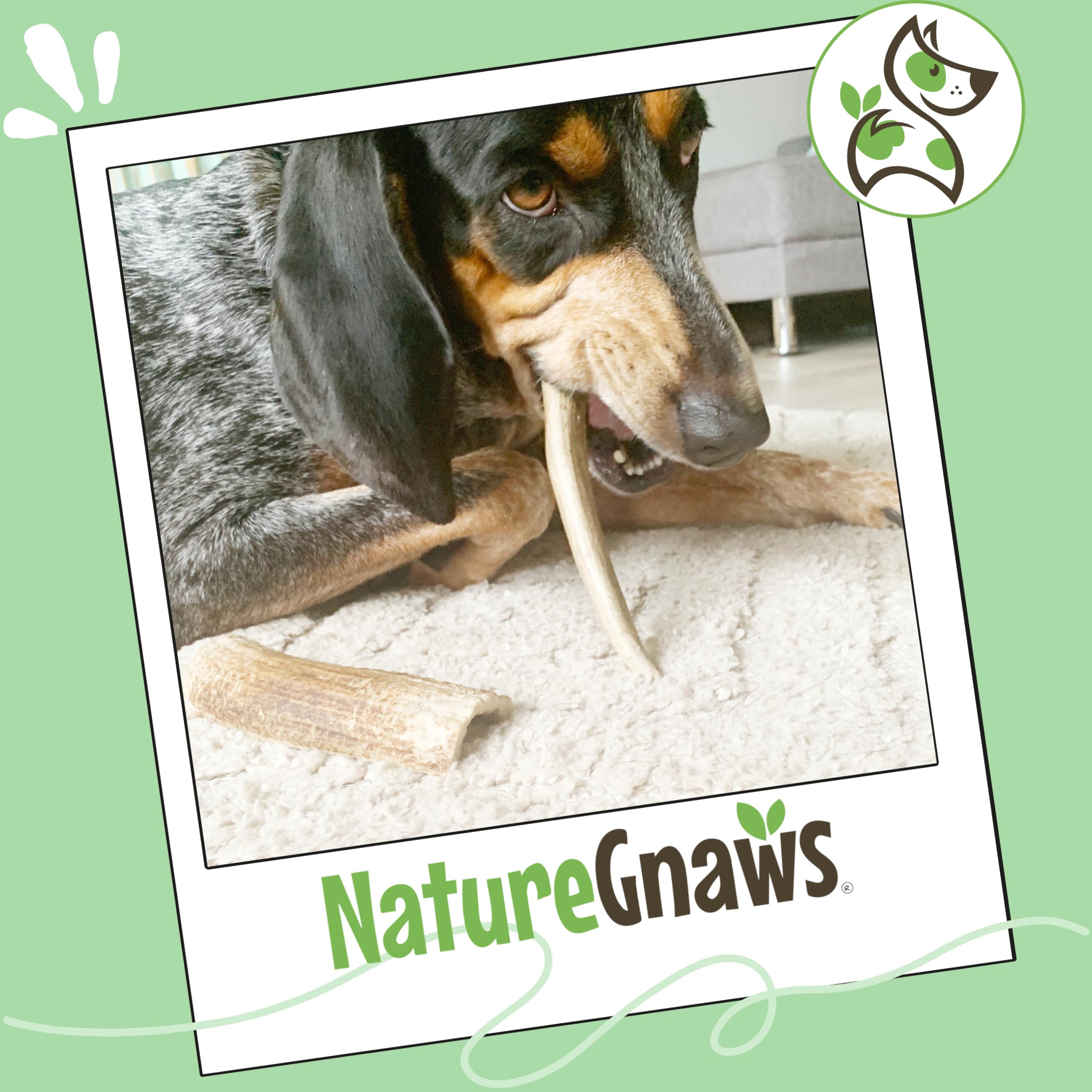 Nature Gnaws sin granos y sin gluten, opción natural para perros.