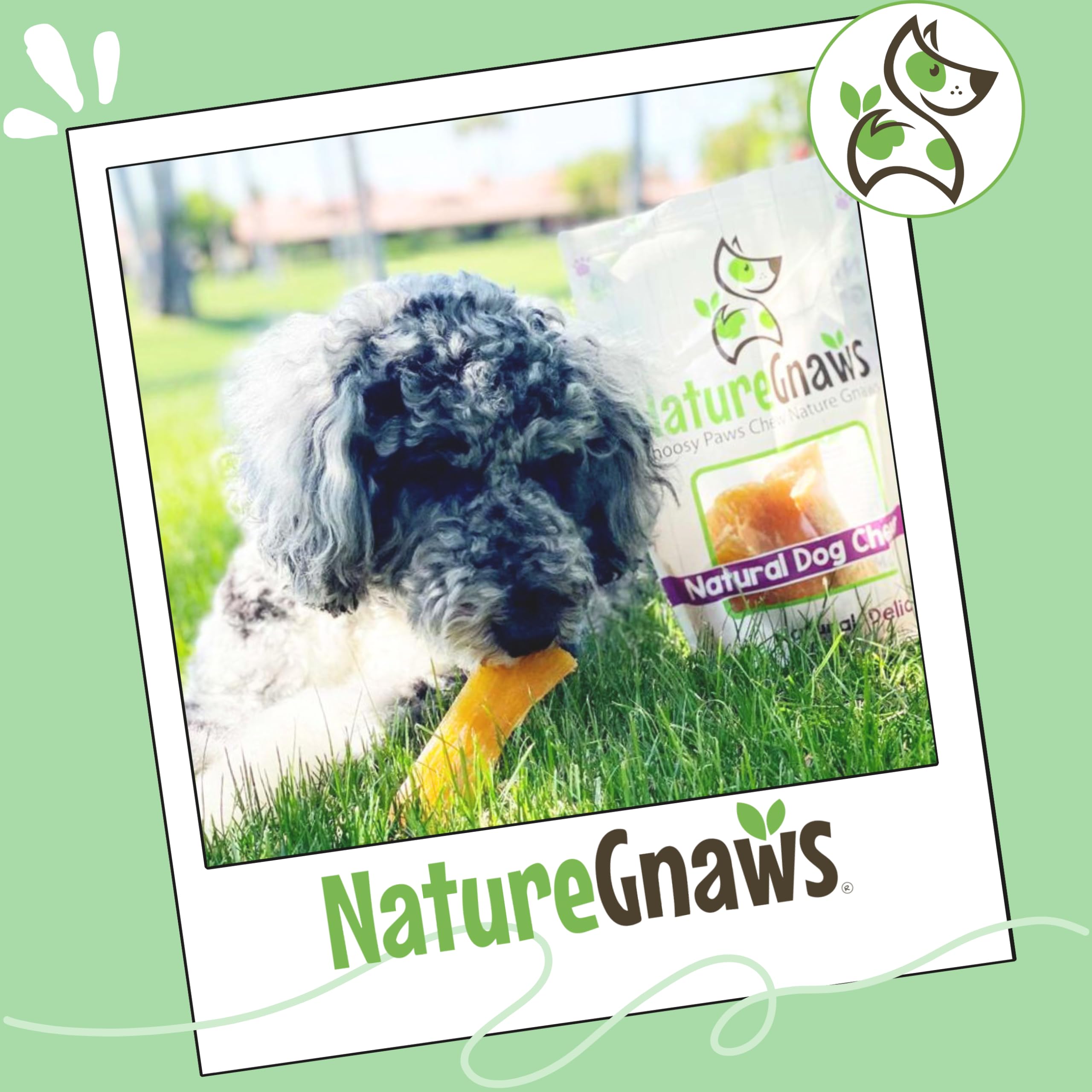 Nature Gnaws Beef Paddywack Tendons: ingrediente único, sin gluten ni granos.