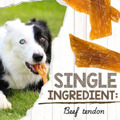 Nature Gnaws Beef Paddywack Tendons: tendones de res, apoyo natural para higiene bucal.