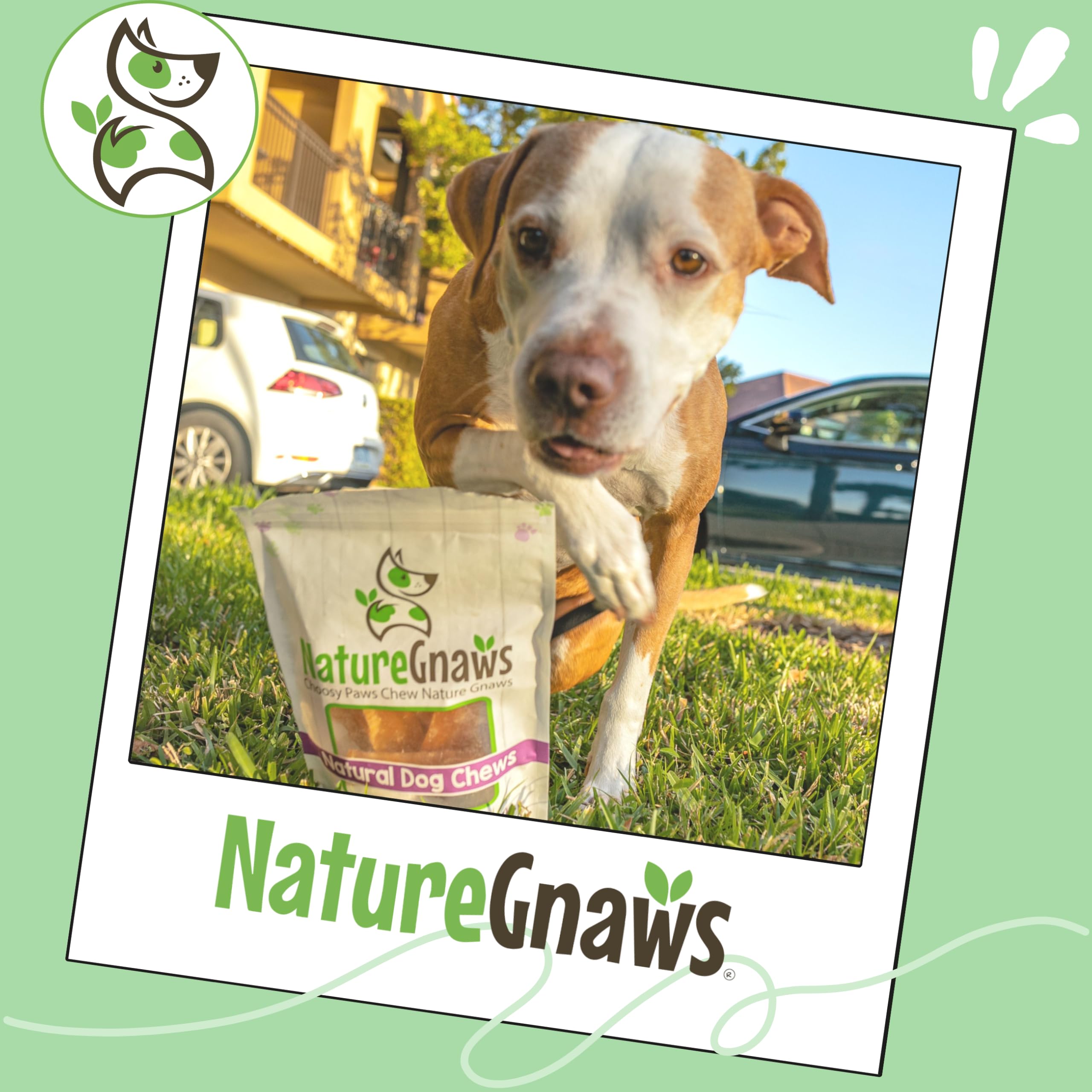 Nature Gnaws Beef Paddywack Tendons: paquete de 5 piezas, snack natural y duradero.