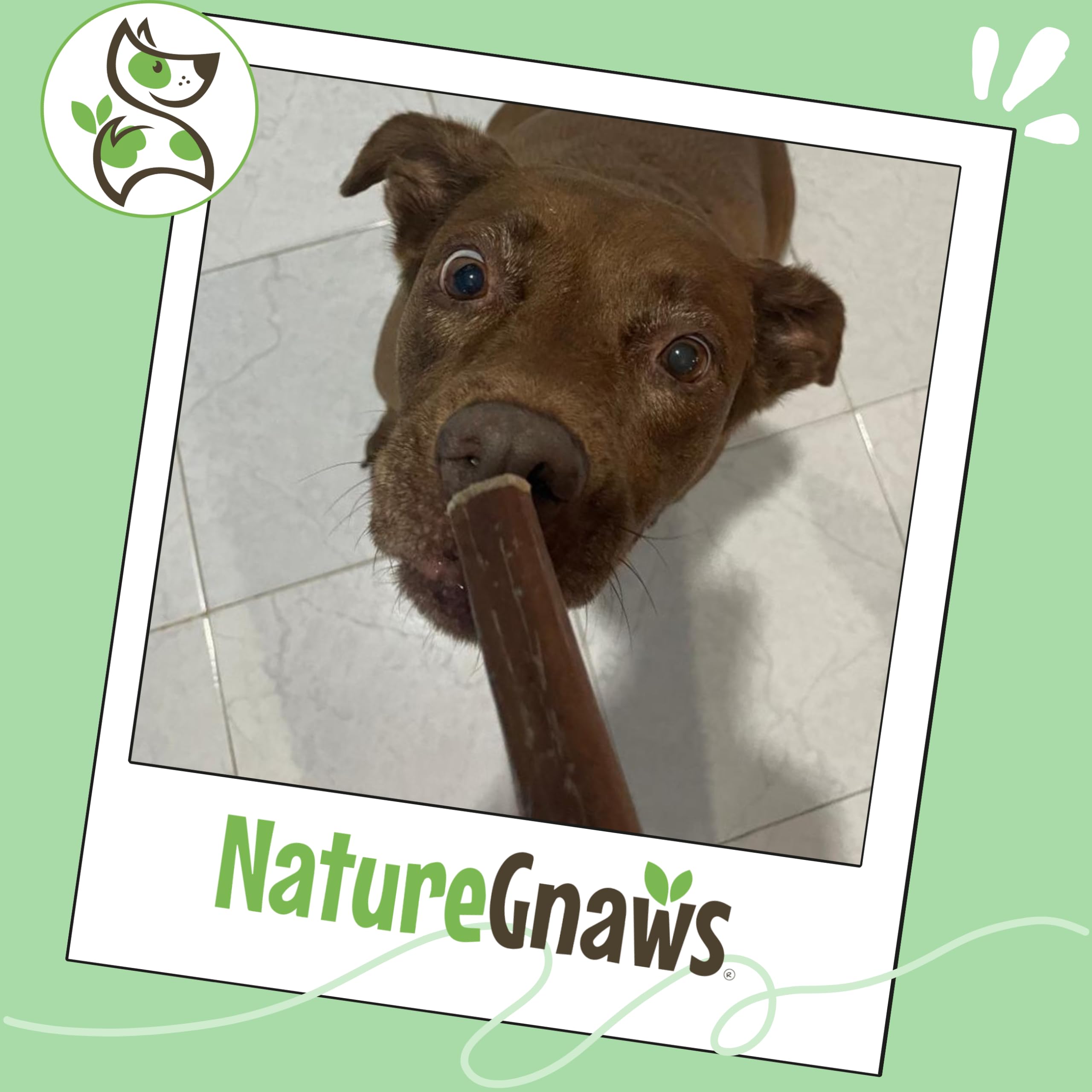 Apto para dentición de cachorros y perros grandes, bullys Nature Gnaws