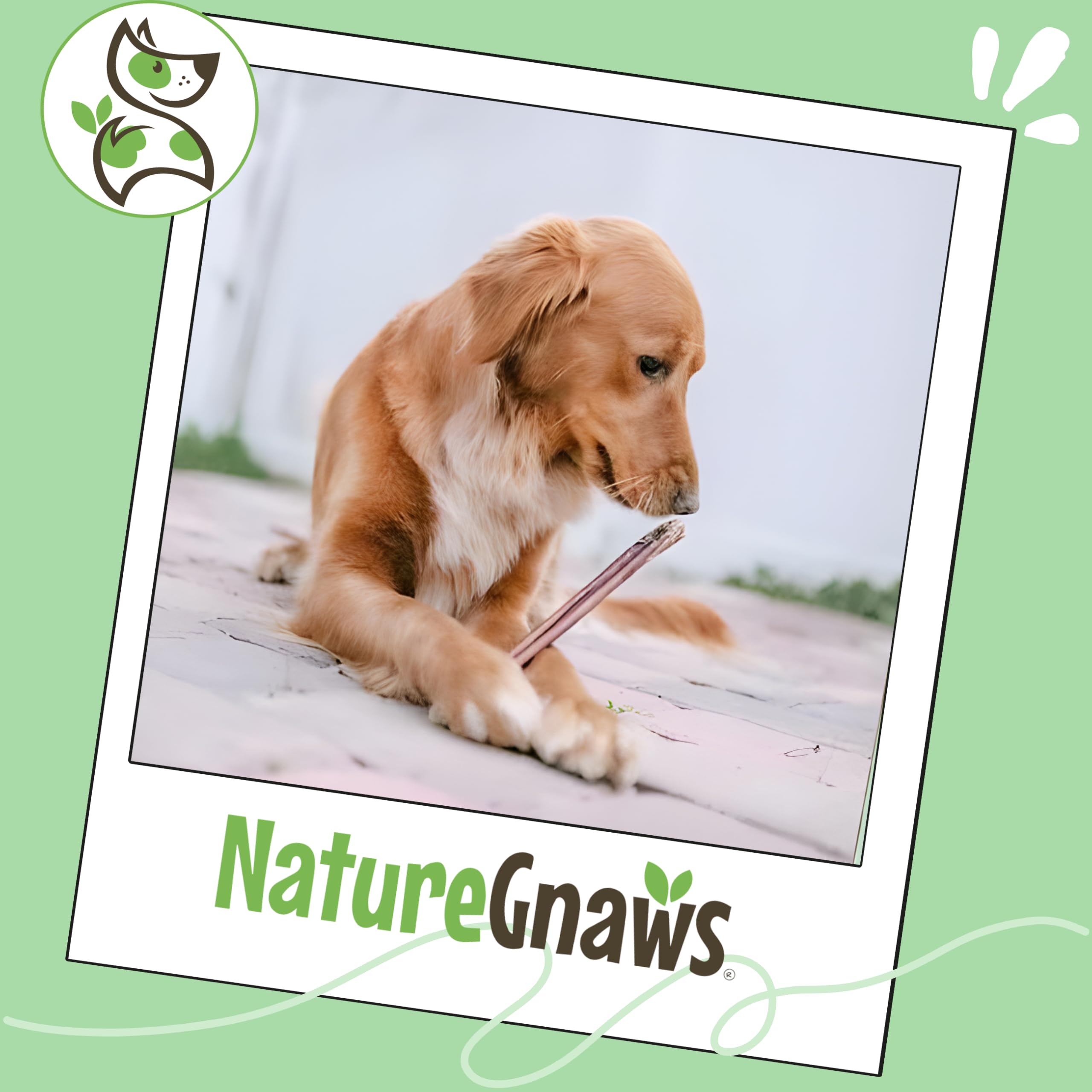 Nature Gnaws Bully Sticks para ocupar a tu mascota durante horas.