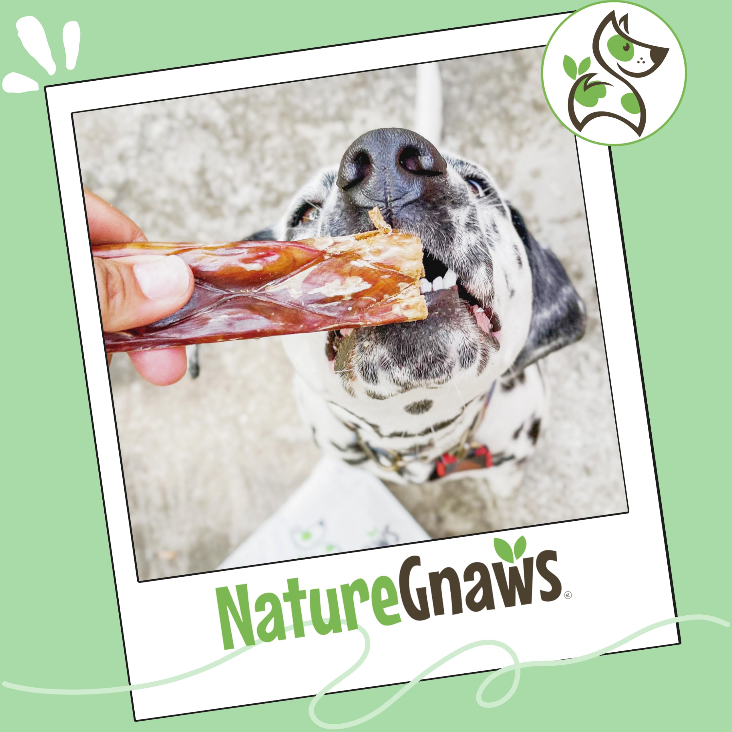 Nature Gnaws masticables de esófago de res, ideal para cachorros en dentición.