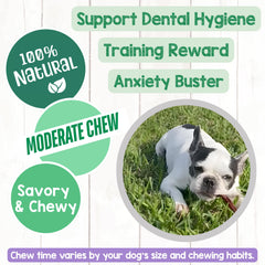 Nature Gnaws cuidado dental natural: masticar ayuda a mantener dientes limpios