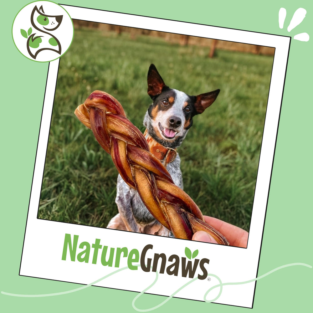 Nature Gnaws empaque de tres unidades para masticar