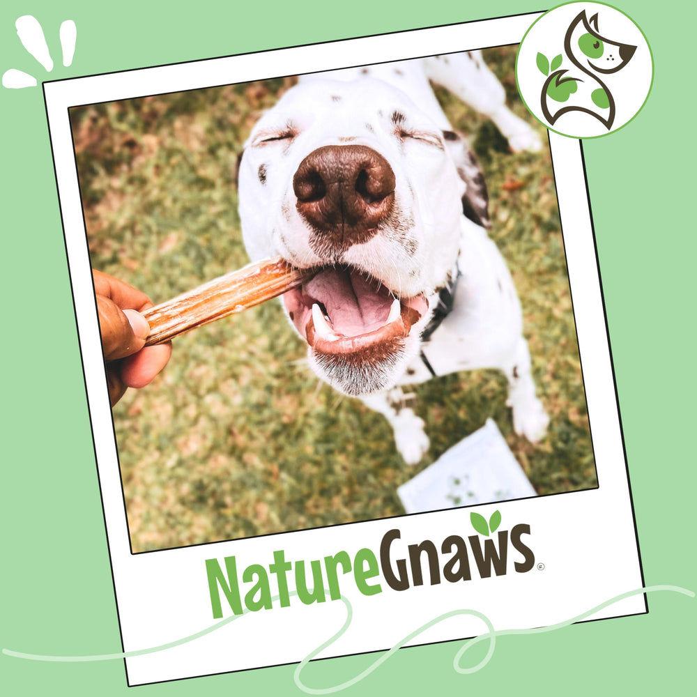 Nature Gnaws hecho por una empresa familiar de ingredientes responsables