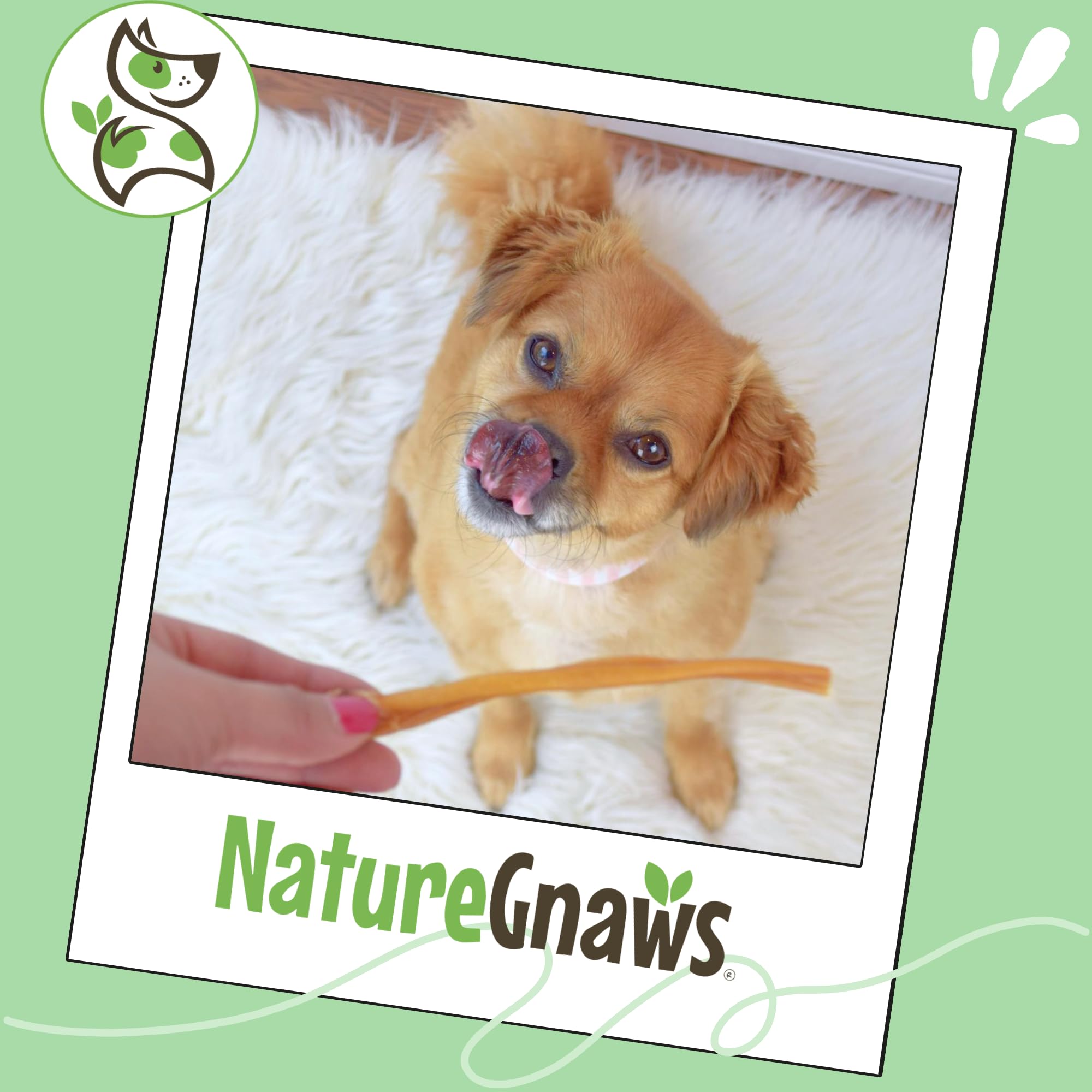 Nature Gnaws grain-free gluten-free sticks for sensitive diets
