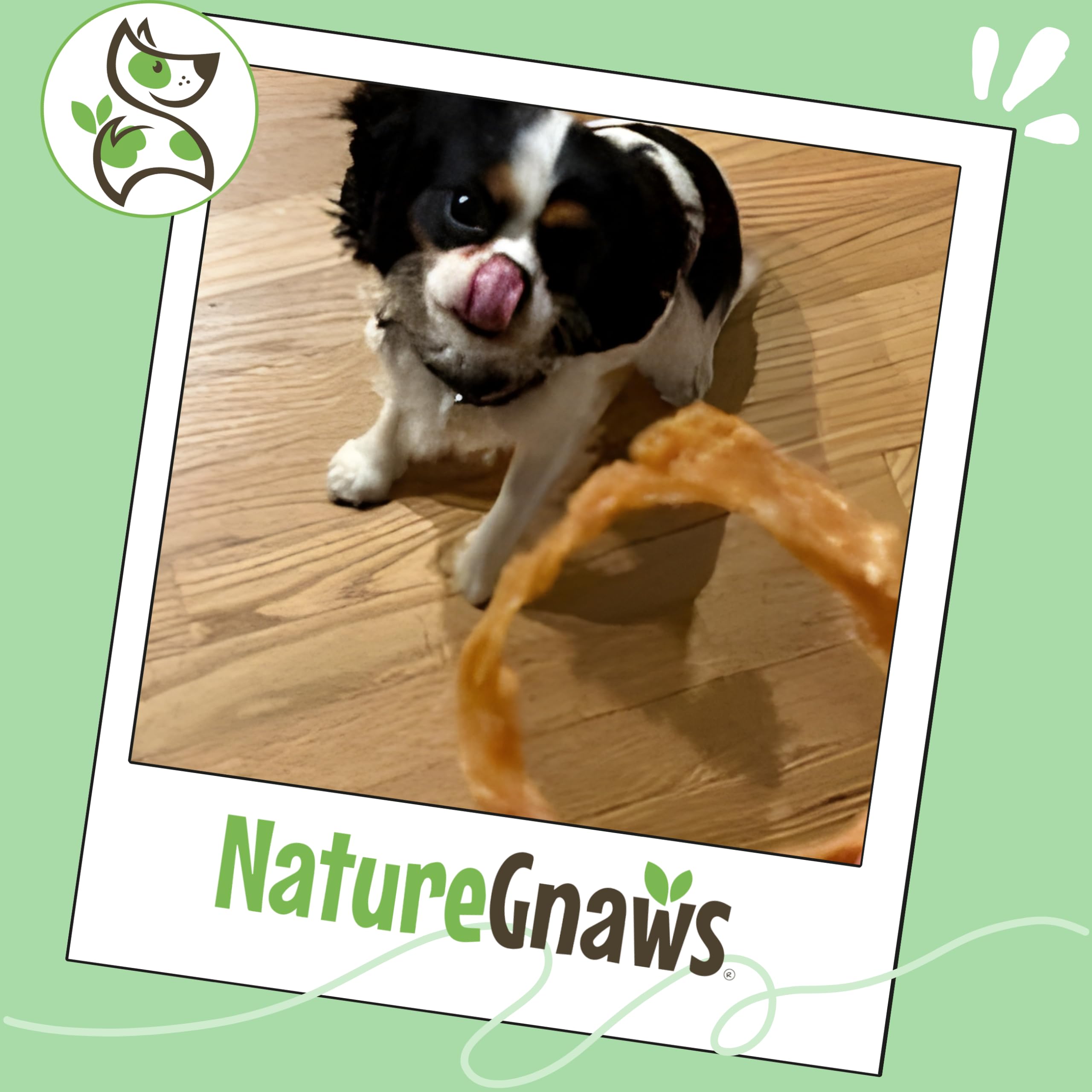 Nature Gnaws Hecho en EE. UU. Tendón Pavo: calidad estadounidense para perros de todos los tamaños.