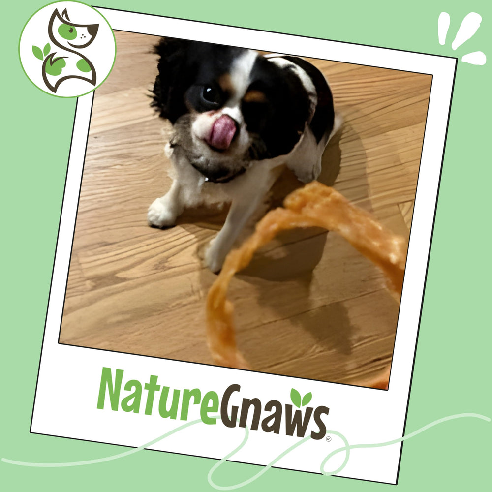 Nature Gnaws Hecho en EE. UU. Tendón Pavo: calidad estadounidense para perros de todos los tamaños.