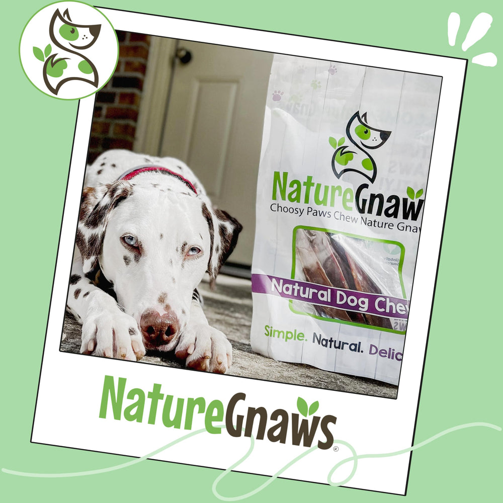 Nature Gnaws masticables de esófago de res, puede apoyar la higiene dental al masticar.