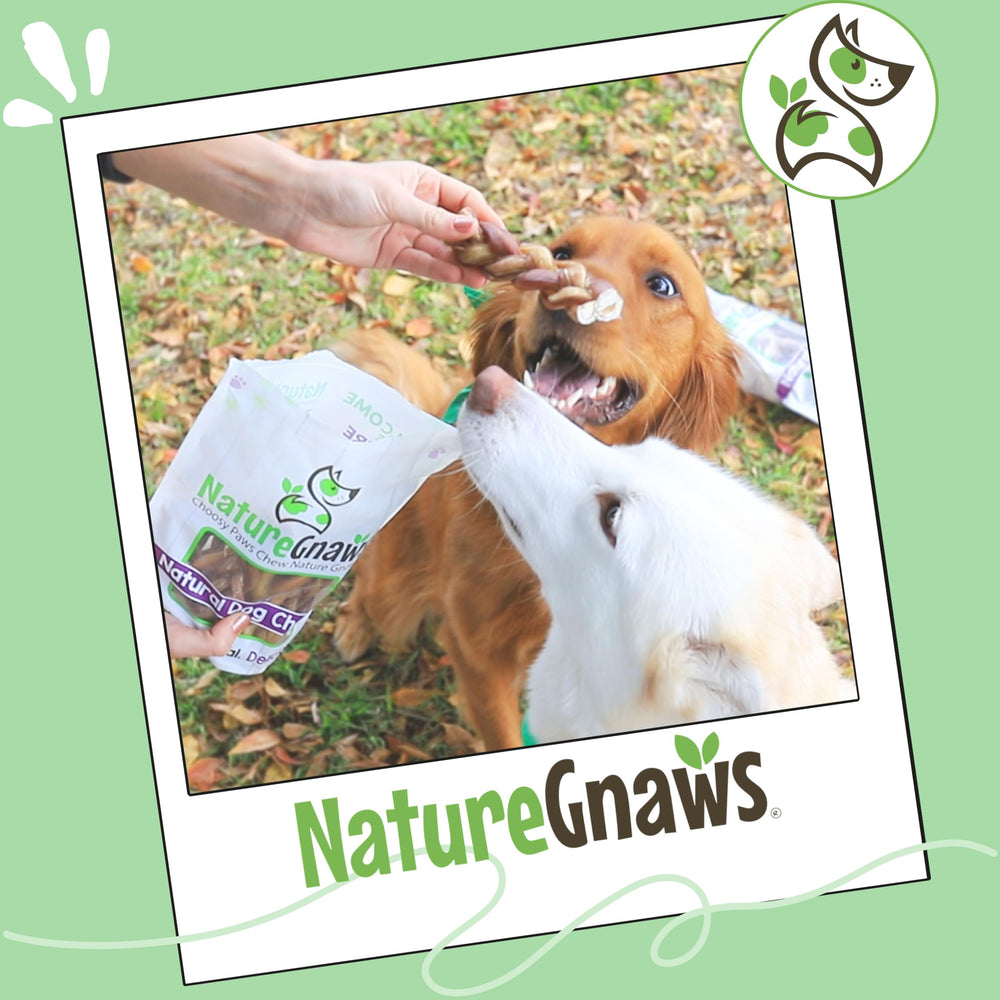 Nature Gnaws ideal para perros pequeños y medianos, masticación duradera.