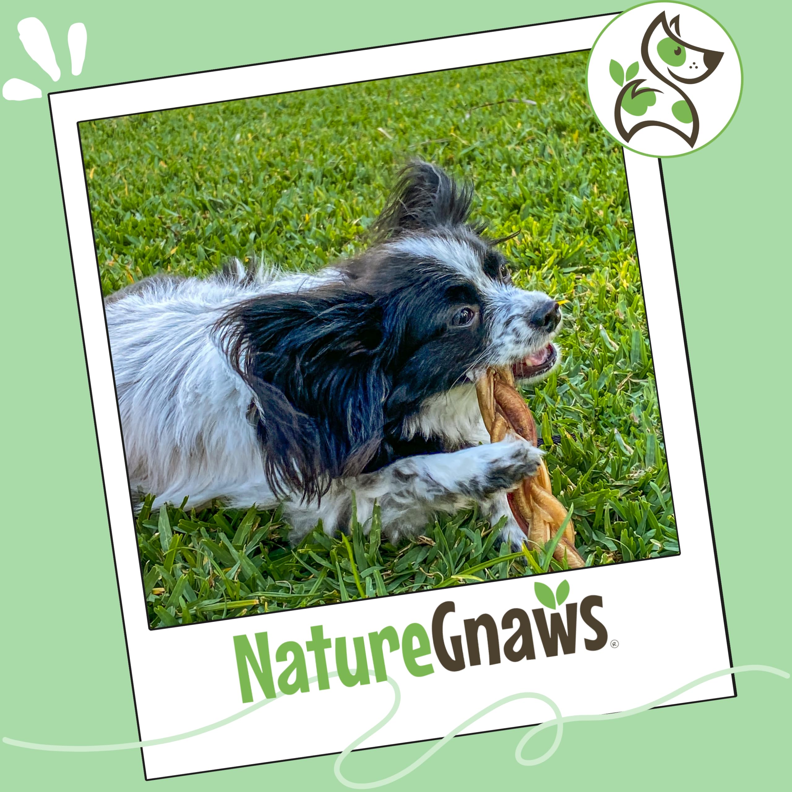 Nature Gnaws libres-de-cuero-crudo-res, alternativa segura a cueros crudos.