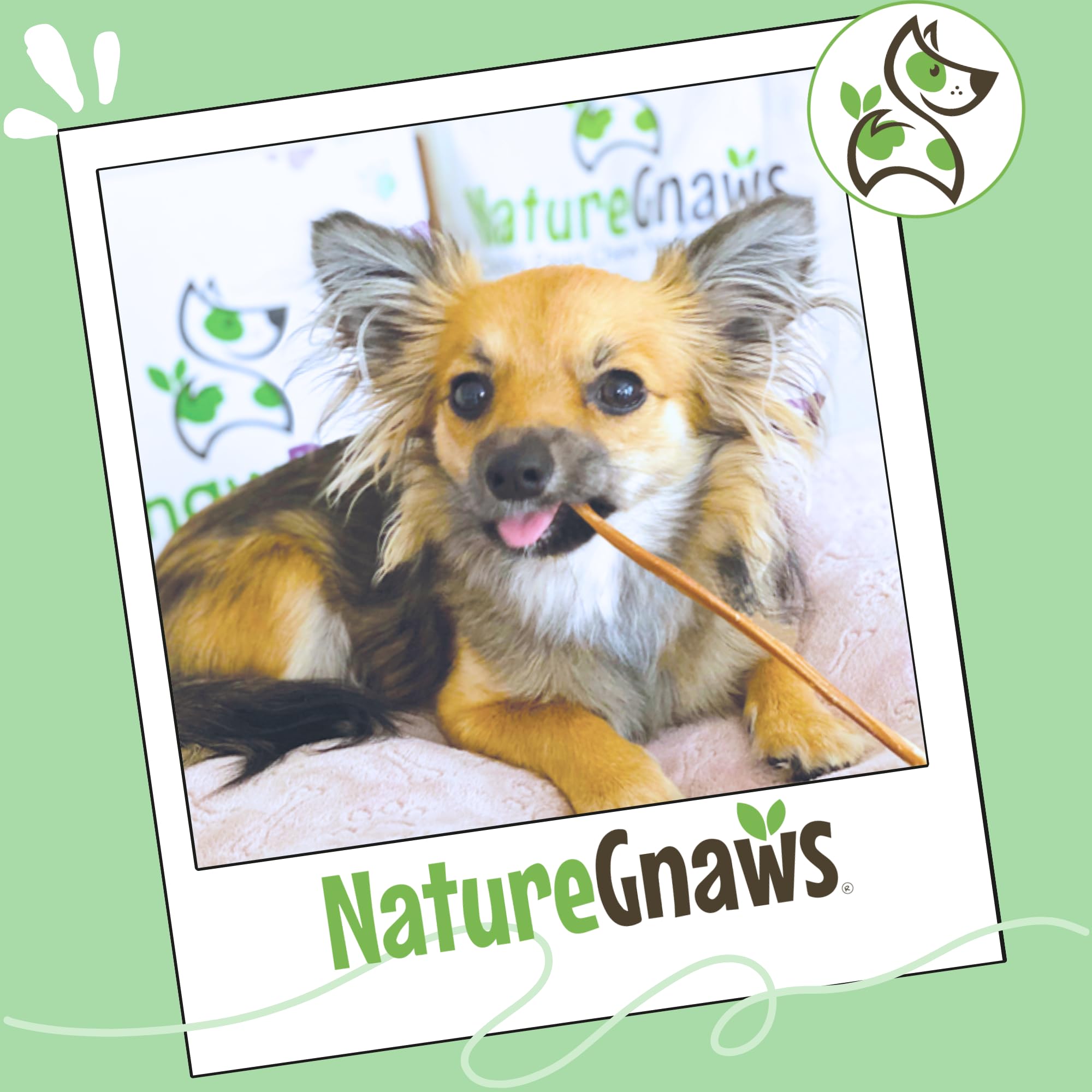 Nature Gnaws masticación duradera para perros pequeños, entretenimiento garantizado.