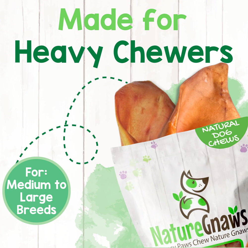 Nature Gnaws orejas de cerdo para perros: paquete de 8 unidades para proteger dientes y encías con masticación natural.