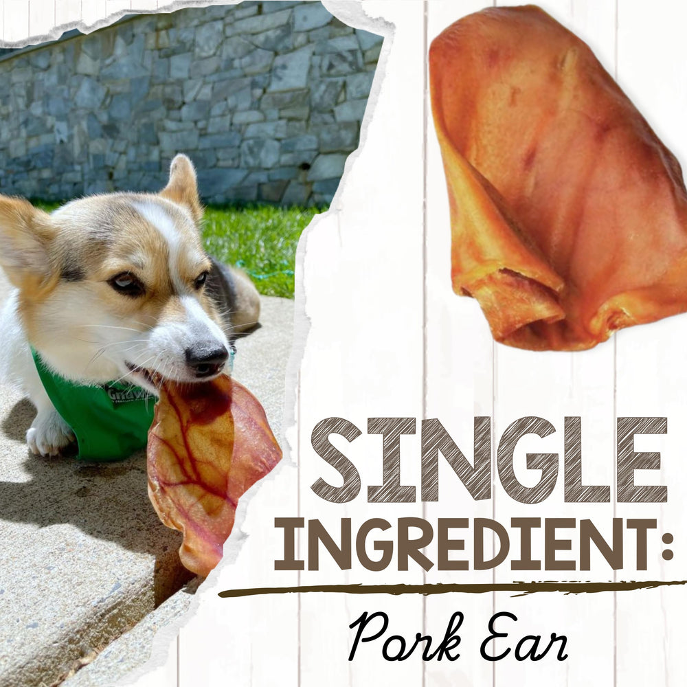Orejas de cerdo Nature Gnaws sin rawhide para perros sensibles.
