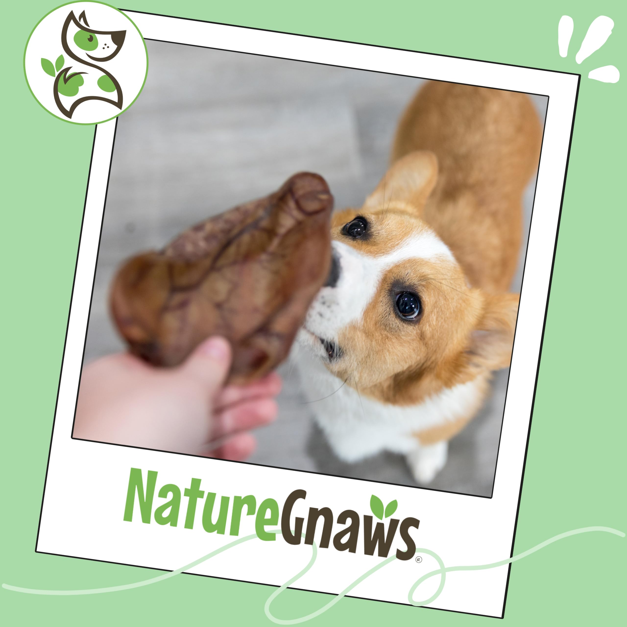 Nature Gnaws orejas de cerdo para perros, entretenimiento prolongado