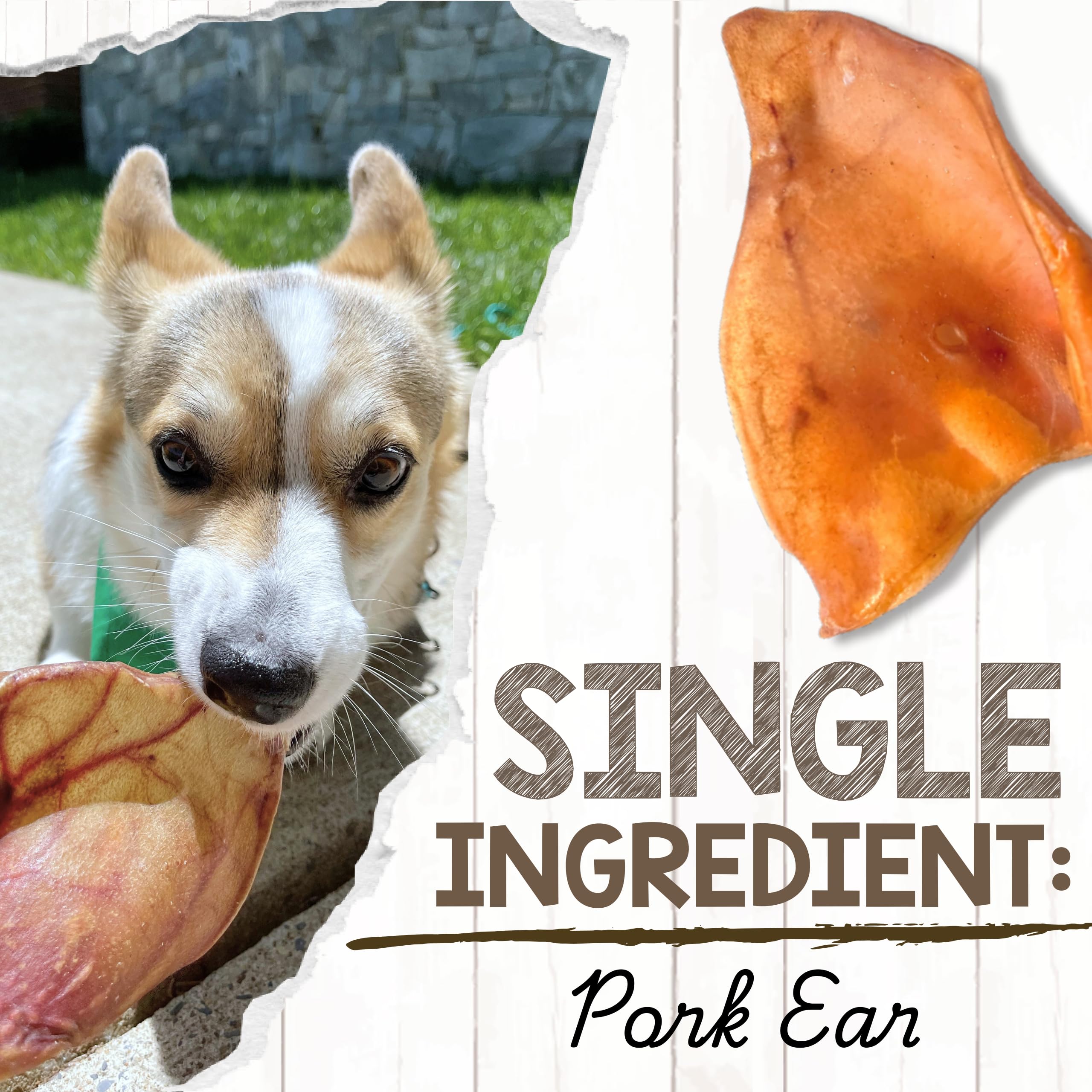 Nature Gnaws orejas de cerdo para perros, sin gluten