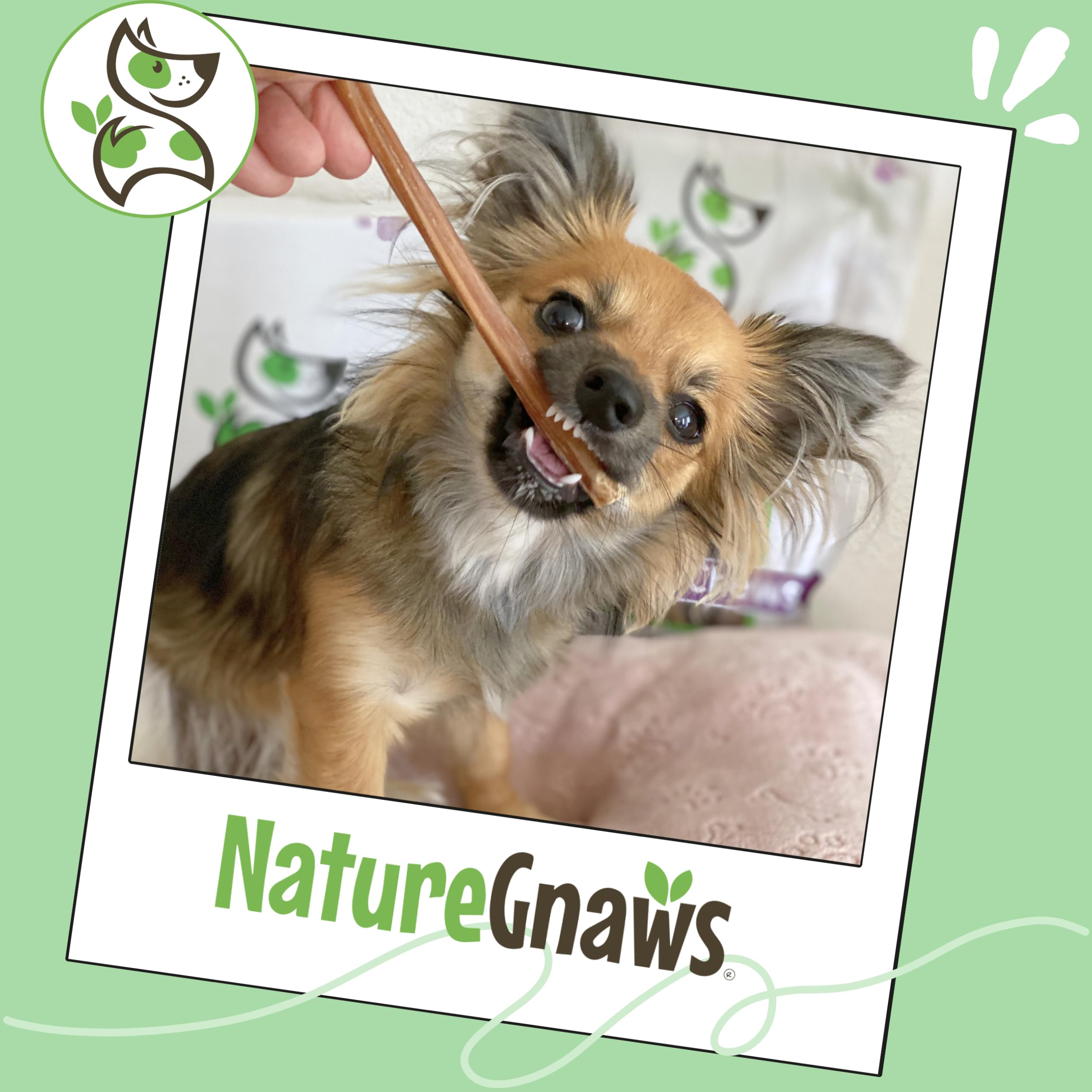 Nature Gnaws palito con textura sabrosa, recompensa sabrosa para perros pequeños.