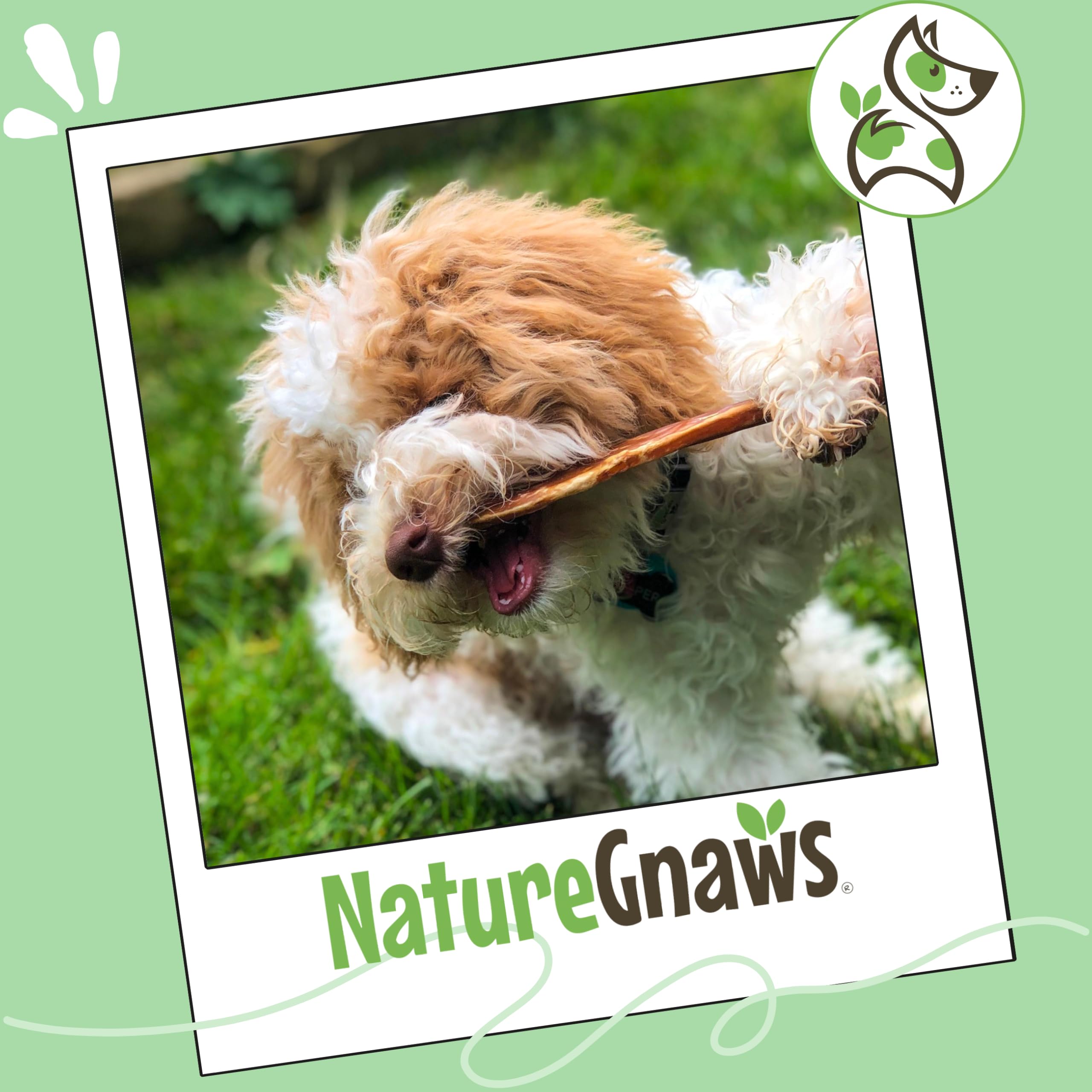 Nature Gnaws palito para uso diario, perfecto para masticadores ligeros y cachorros.