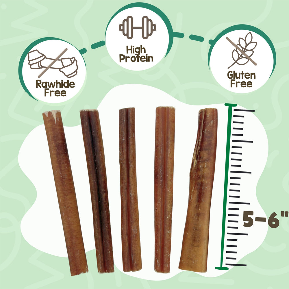 Primer plano de palito bully Nature Gnaws, textura gruesa y robusta.