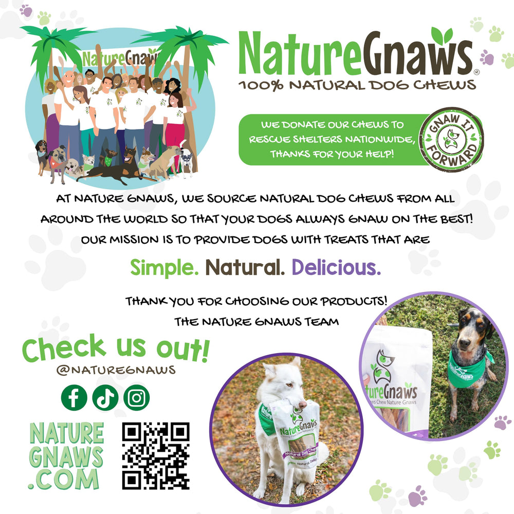 Nature Gnaws palitos finos de res, snack simple y natural