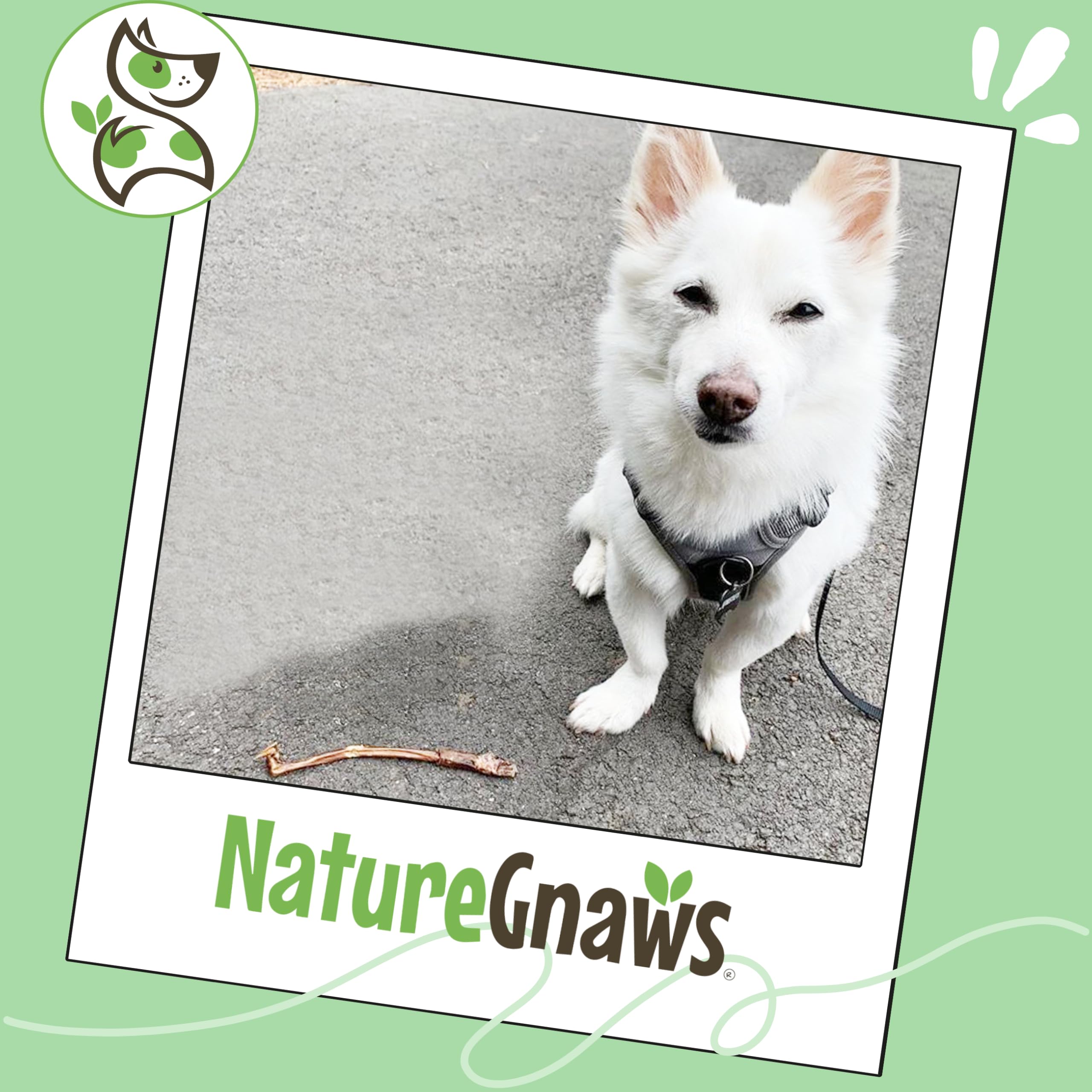 Nature Gnaws palitos de cerdo libres de gluten para perros pequeños