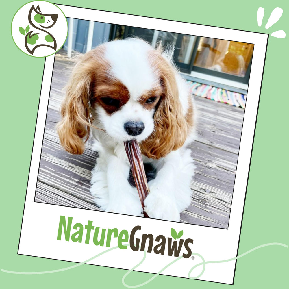 Nature Gnaws palitos de esófago de res, libre de granos y gluten