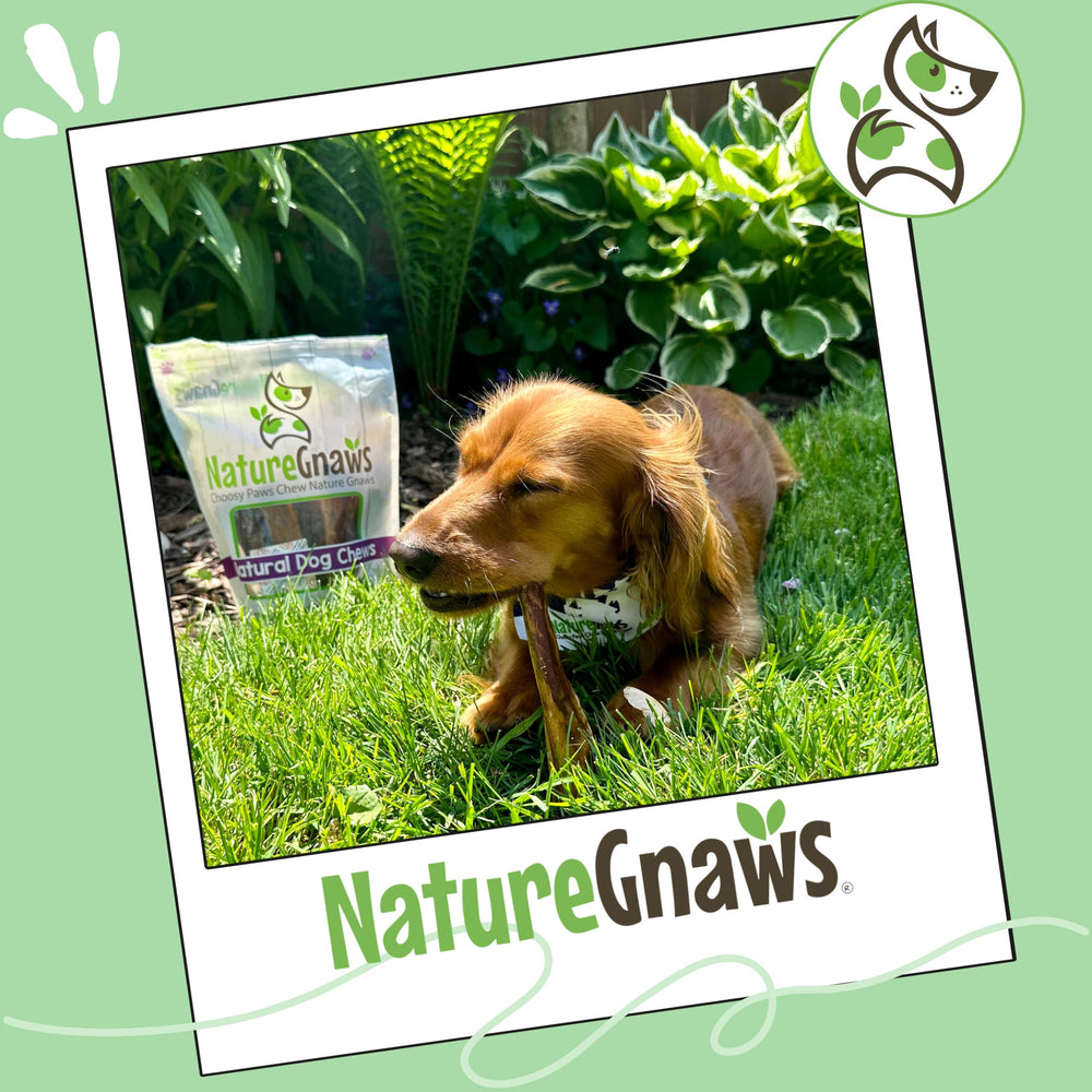 Nature Gnaws palitos para cachorros, diseño ligero para morder y calmar.