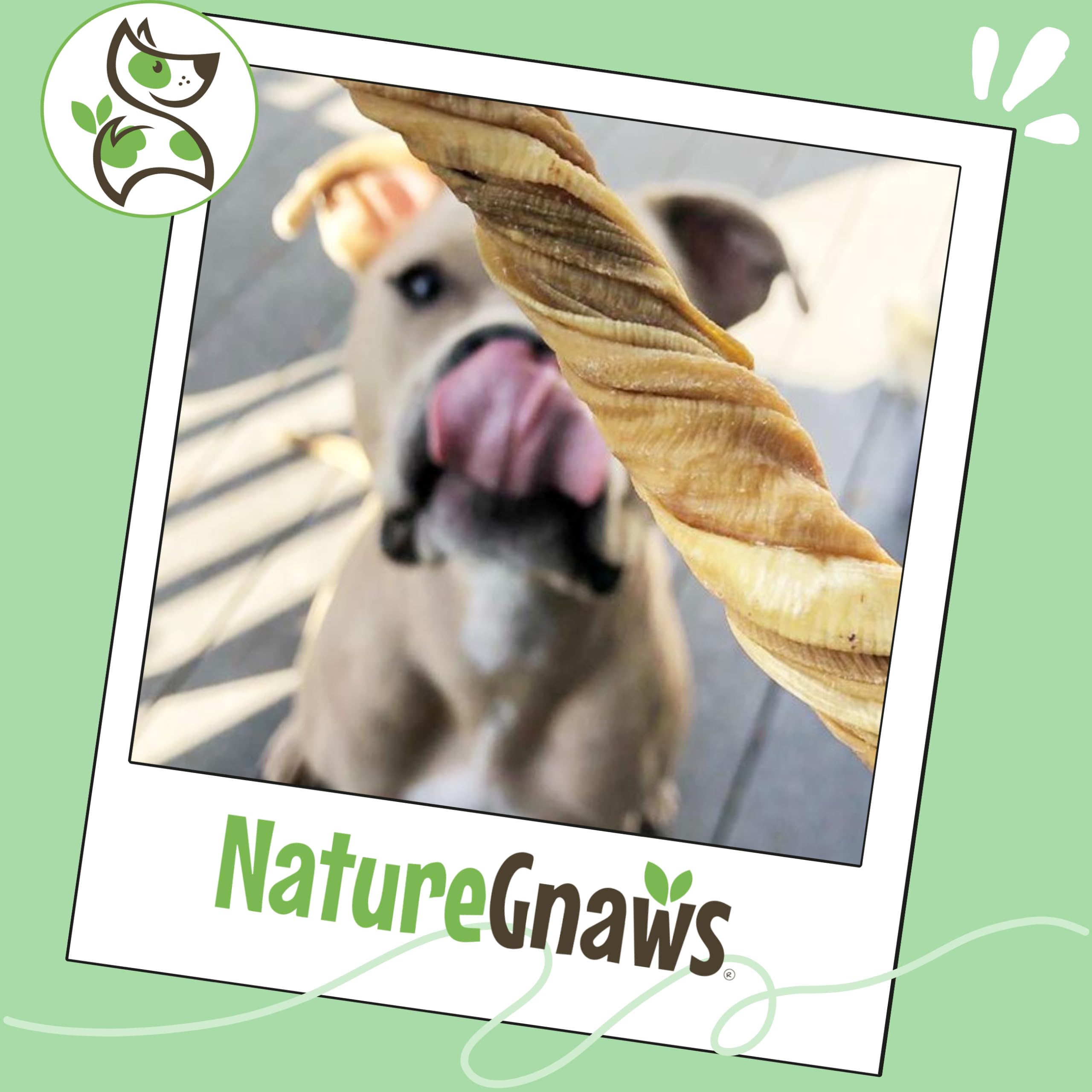 Nature Gnaws Producto natural para perros, masticación entretenida con tripa de res.