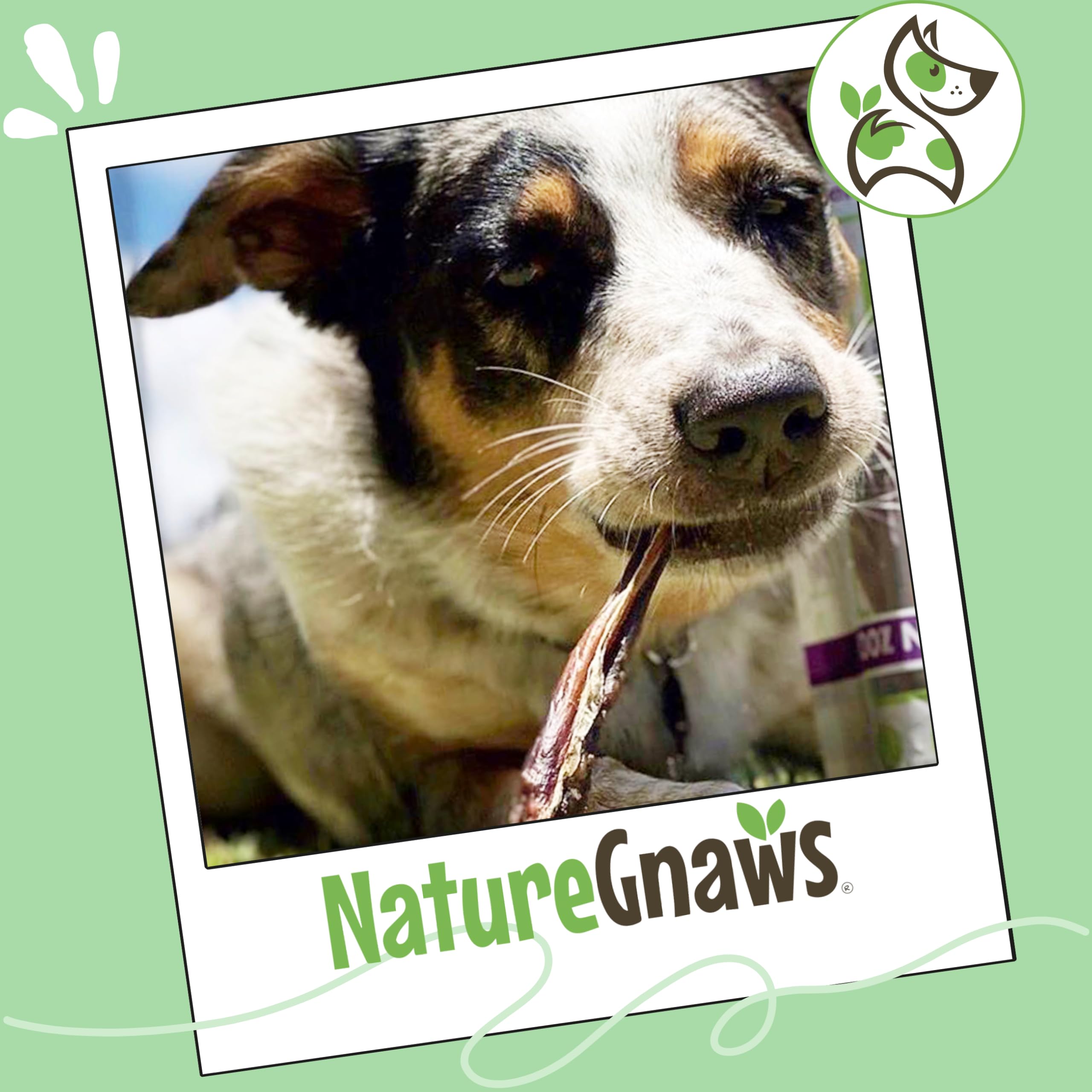 Nature Gnaws palitos de cerdo sin gluten ni granos para cachorros