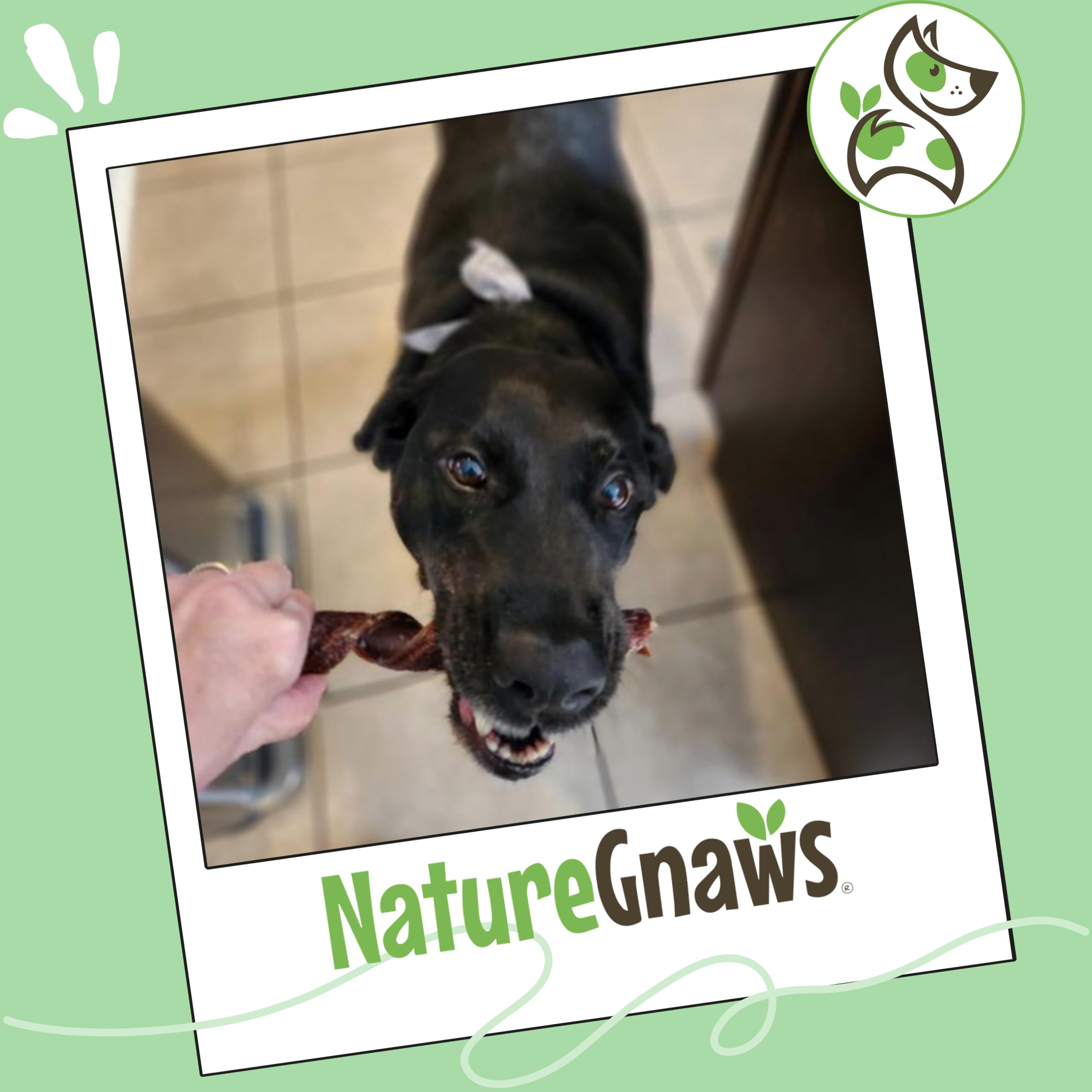 Nature Gnaws Ressorts Gosier Boeuf 7-8 Pouces, parfait pour récompenser lors de l’entraînement.