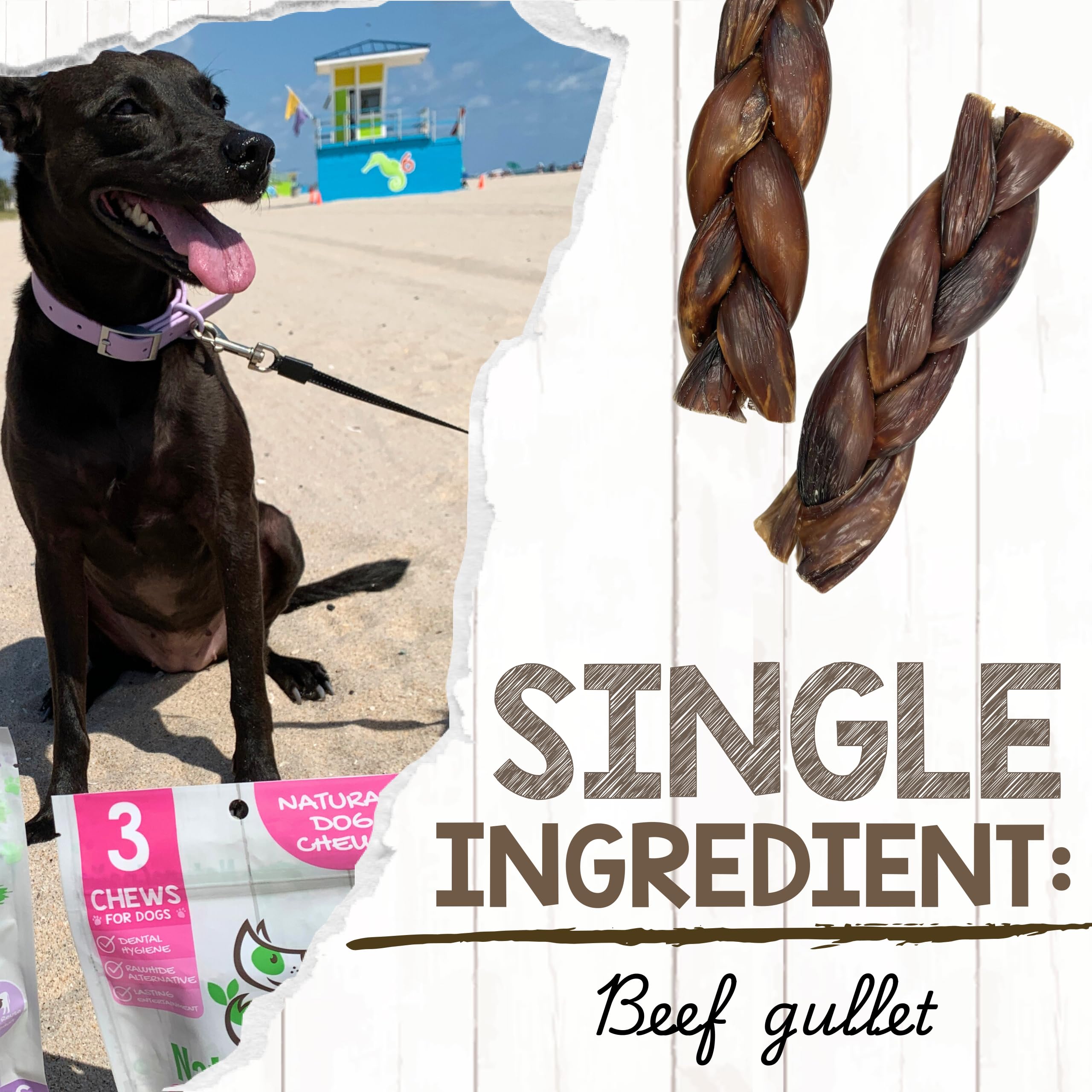 Nature Gnaws sin gluten y sin granos, opción natural para perros sensibles