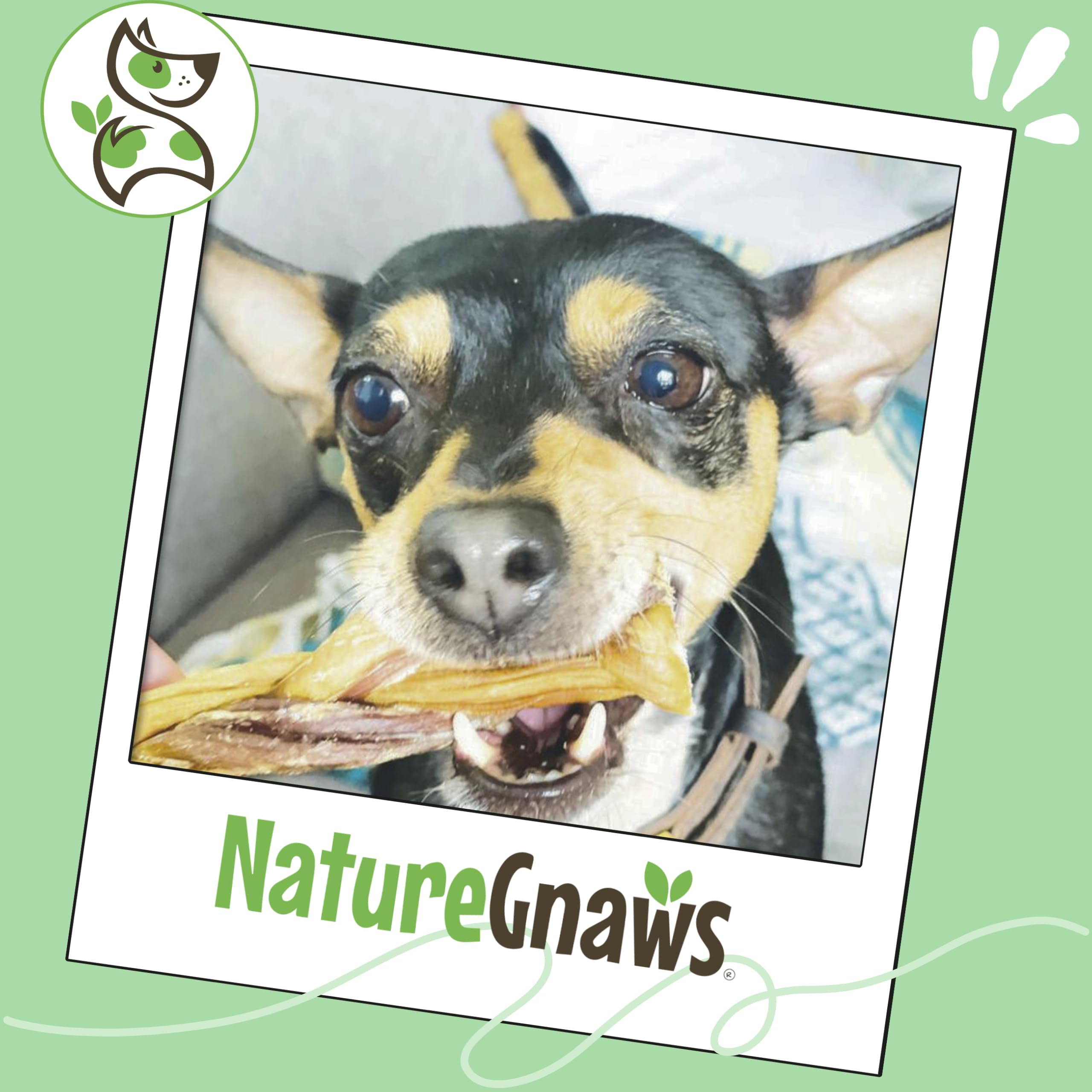 Nature Gnaws sin-gluten-res, opción natural para dietas sensibles.