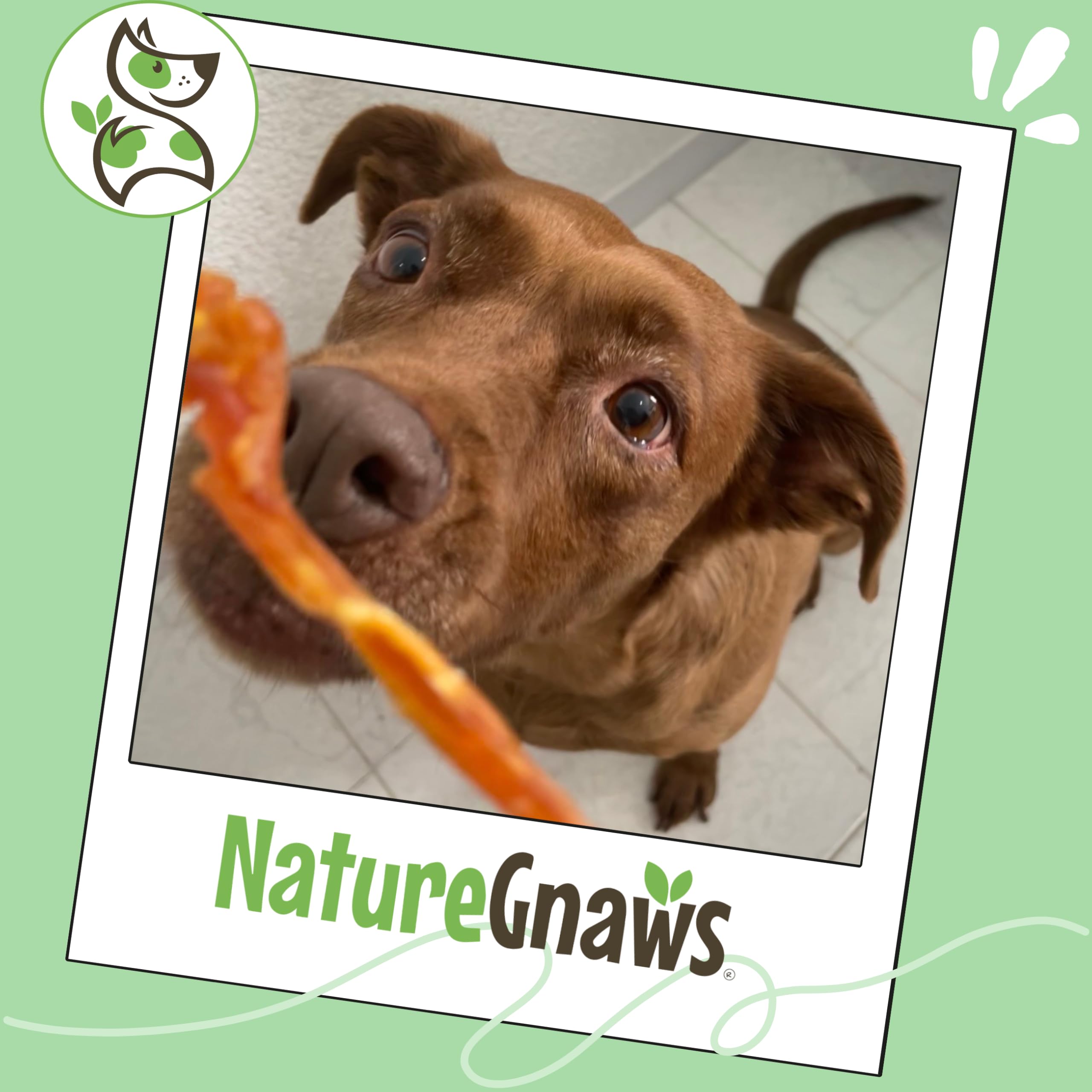 Nature Gnaws snack de pavo, textura gruesa para perros grandes.