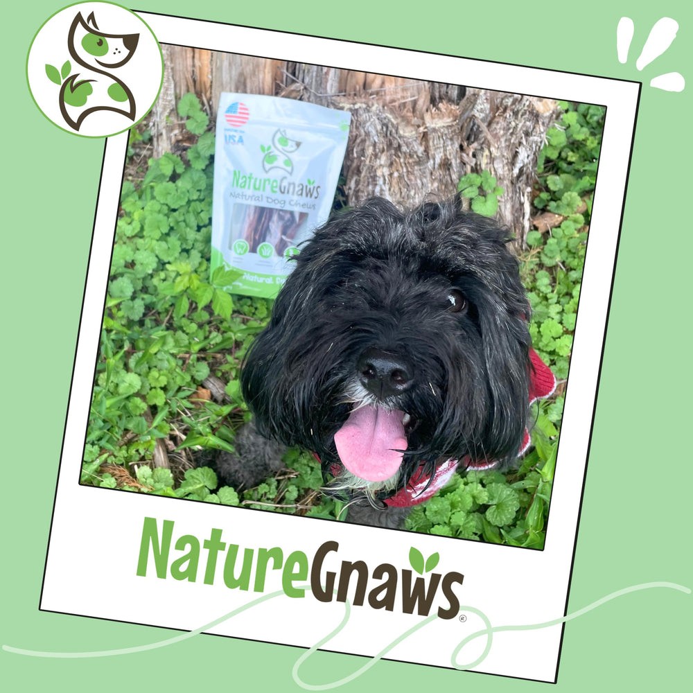 Nature Gnaws Steer Sticks, beneficios dentales mediante masticación.
