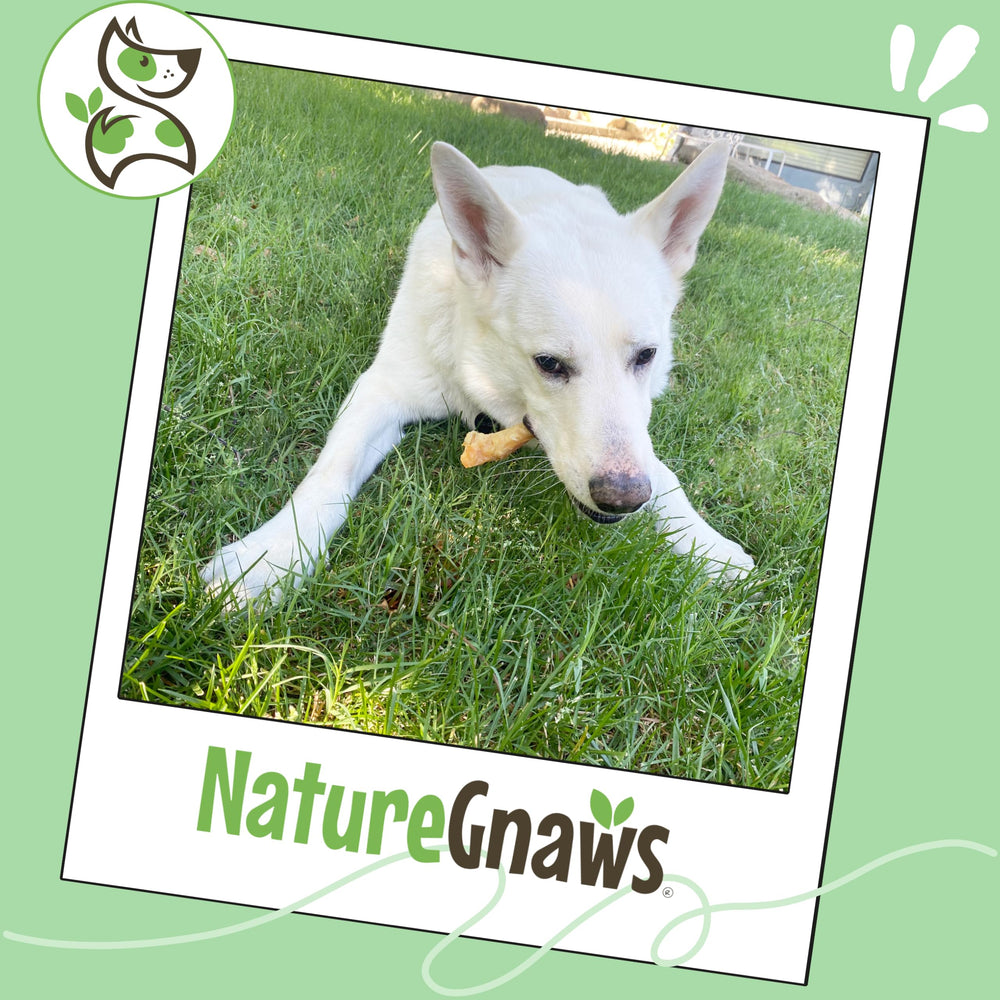 Nature Gnaws Tendones de res aroma natural y sabor a res