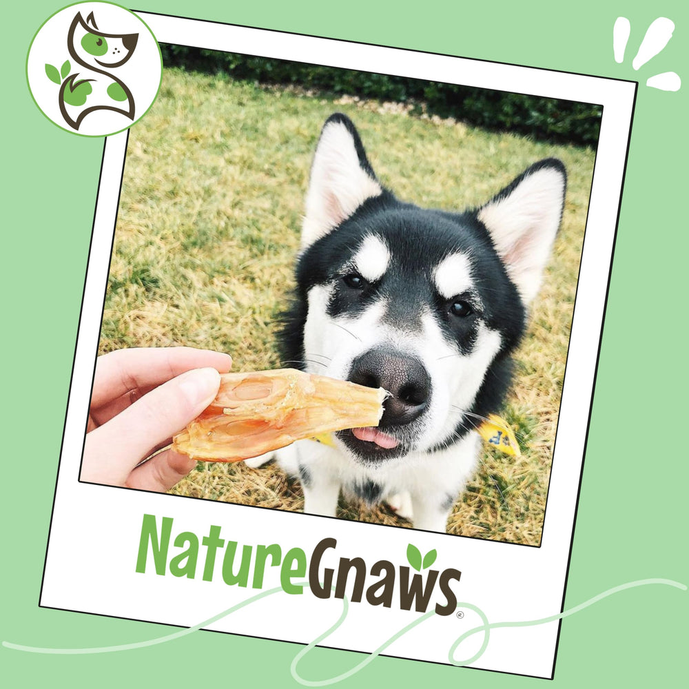 Nature Gnaws Tendones ayudan a mantener la higiene dental durante la masticación.