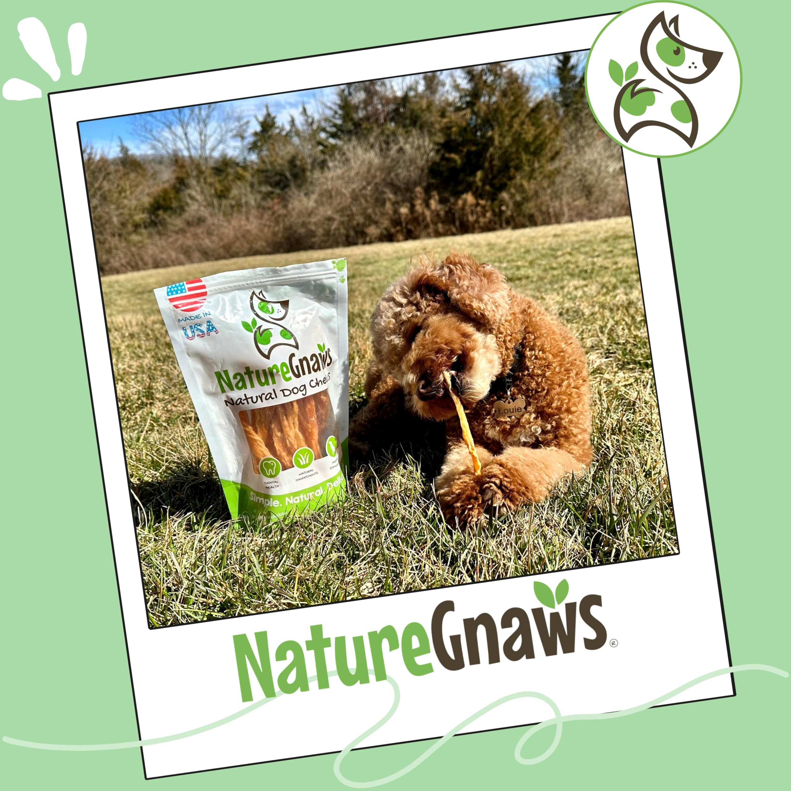 Nature Gnaws tendones de pavo para perros pequeños, ideal para teething.