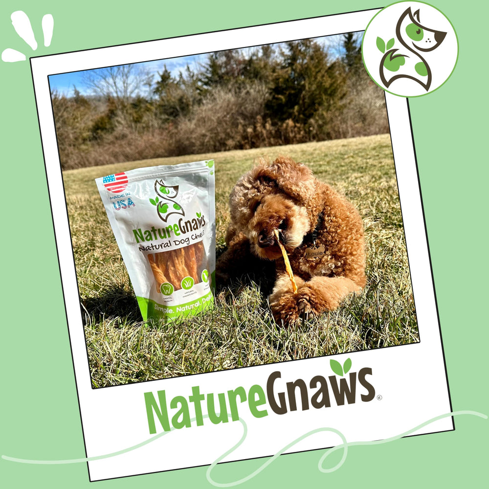 Nature Gnaws tendones de pavo para perros pequeños, ideal para teething.