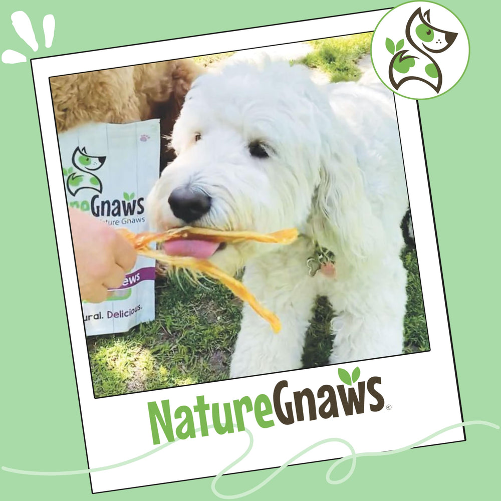 Empaque práctico de tendones Nature Gnaws para perros