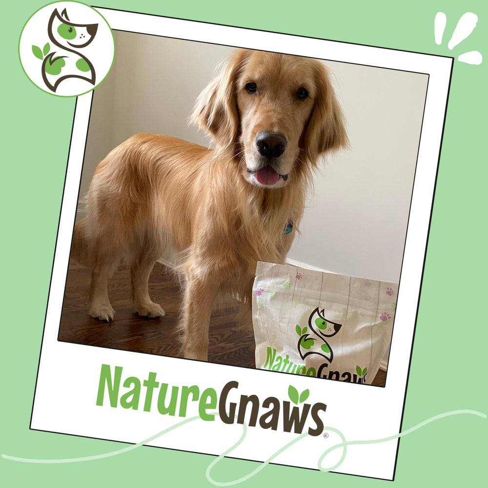 Nature Gnaws textura sabrosa: aroma natural que agrada al perro durante la merienda.
