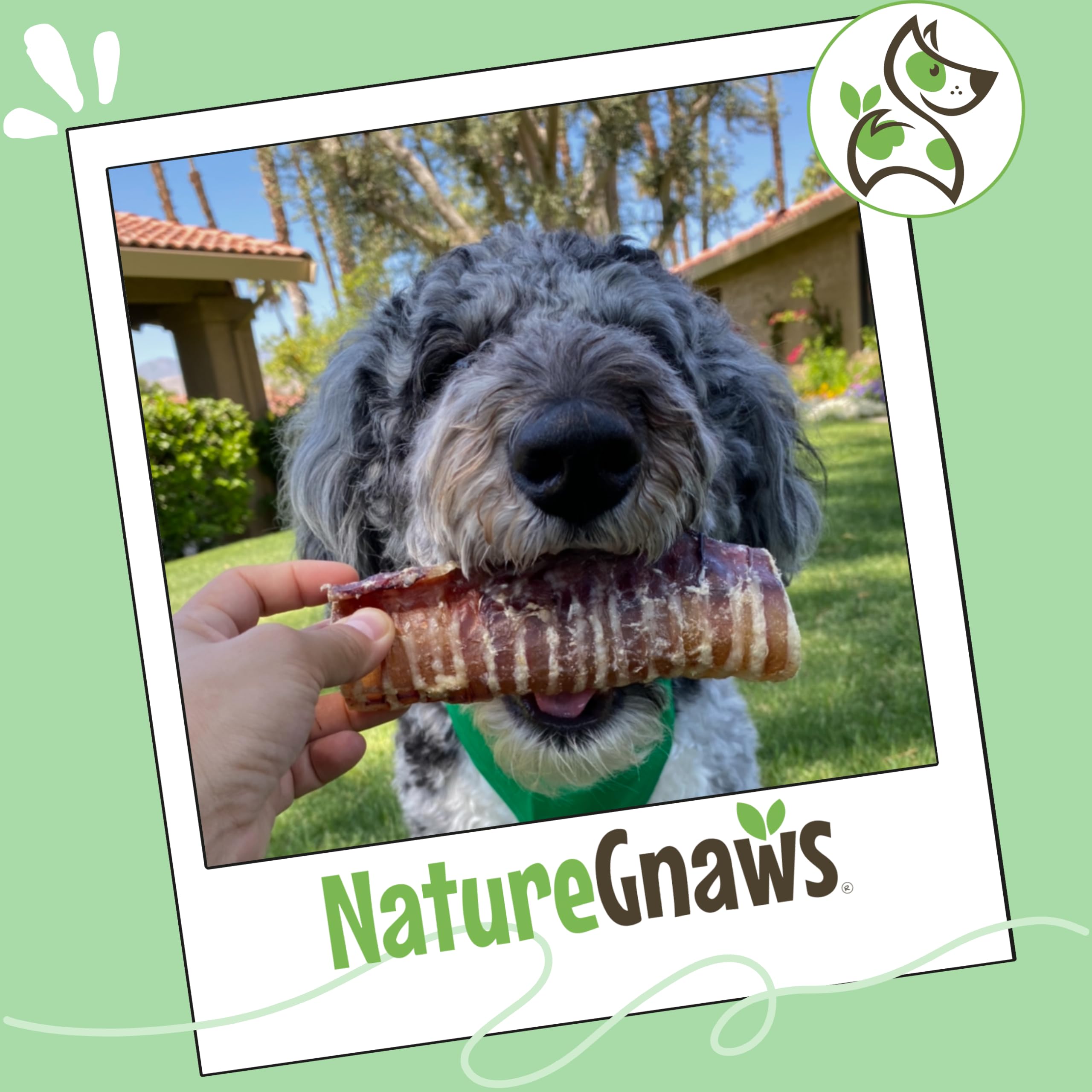 Nature Gnaws trachea de res apto para todas las tallas de perros.